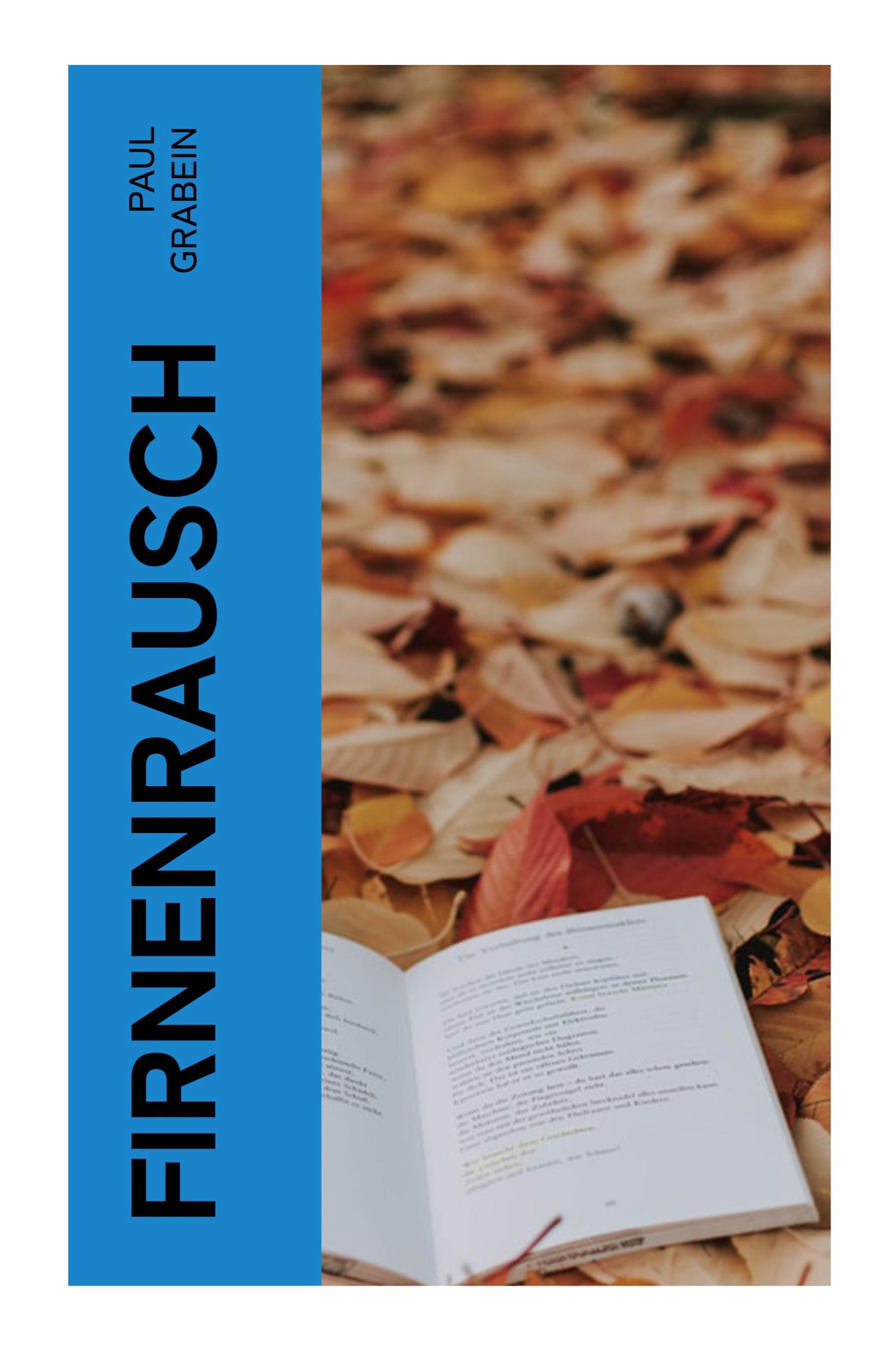 Vorderes Coverbild Firnenrausch