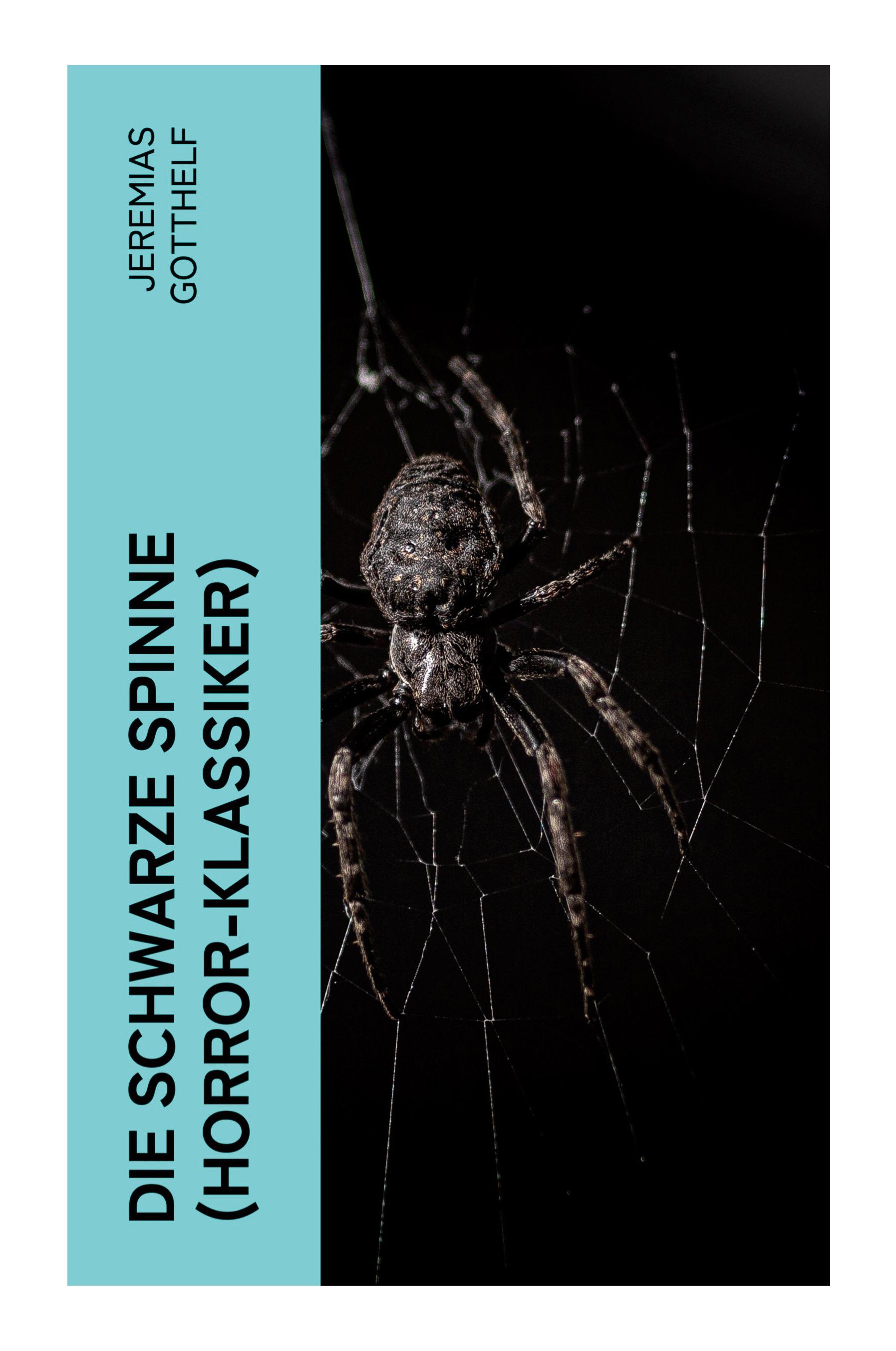 Vorderes Coverbild Die schwarze Spinne (Horror-Klassiker)