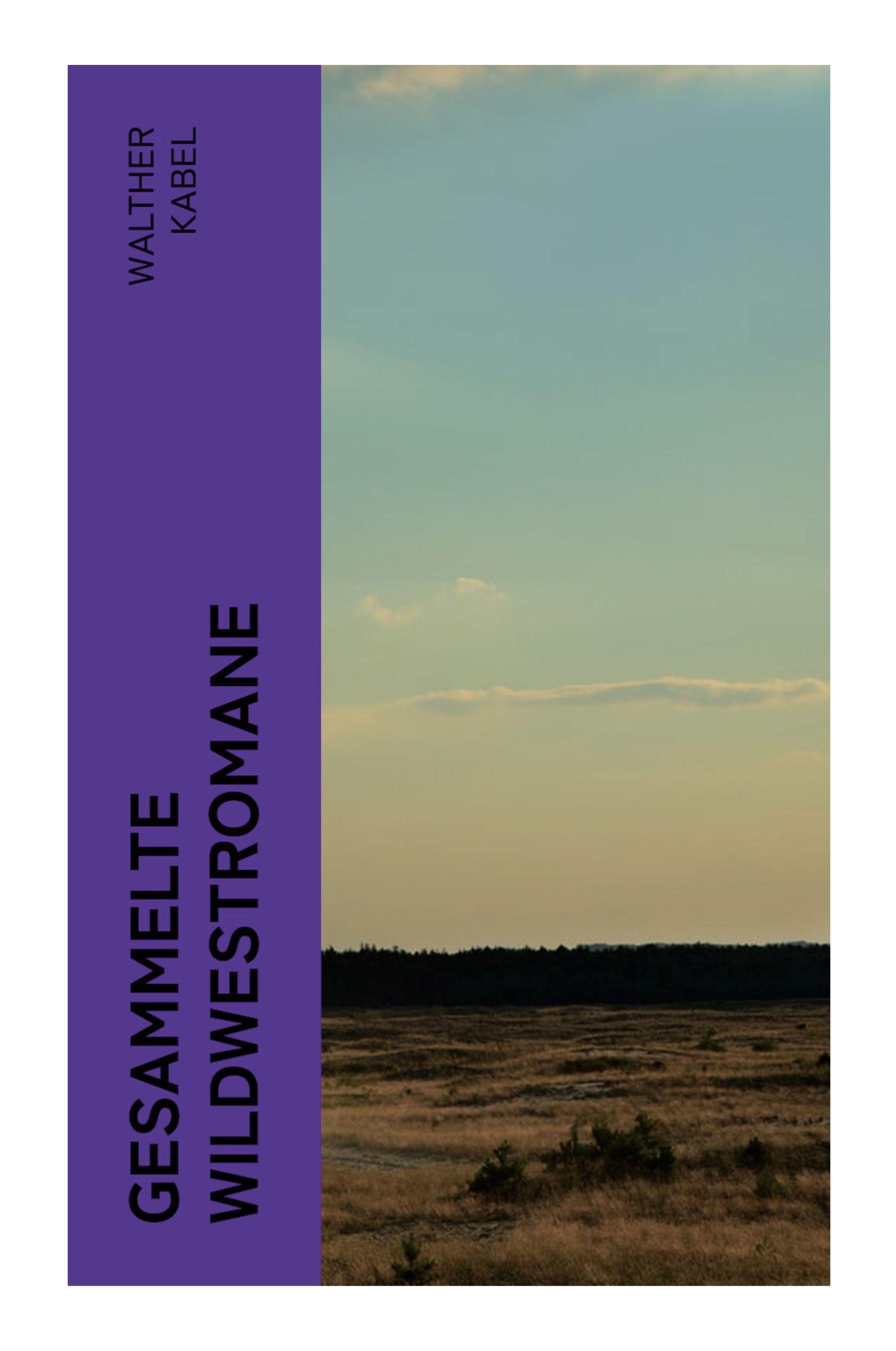 Vorderes Coverbild Gesammelte Wildwestromane