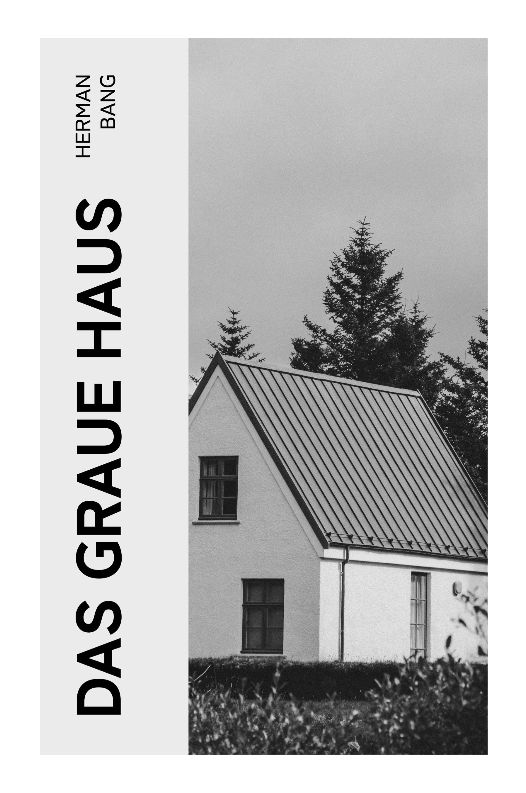 Vorderes Coverbild Das graue Haus