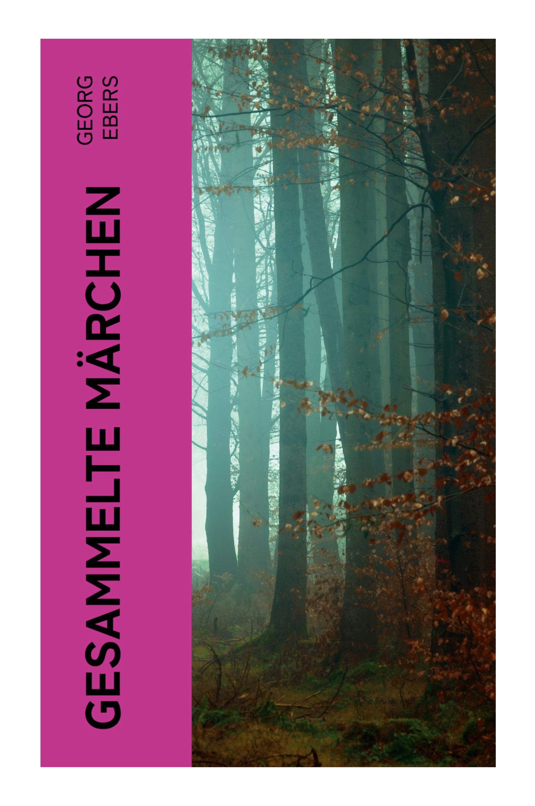 Vorderes Coverbild Gesammelte Märchen