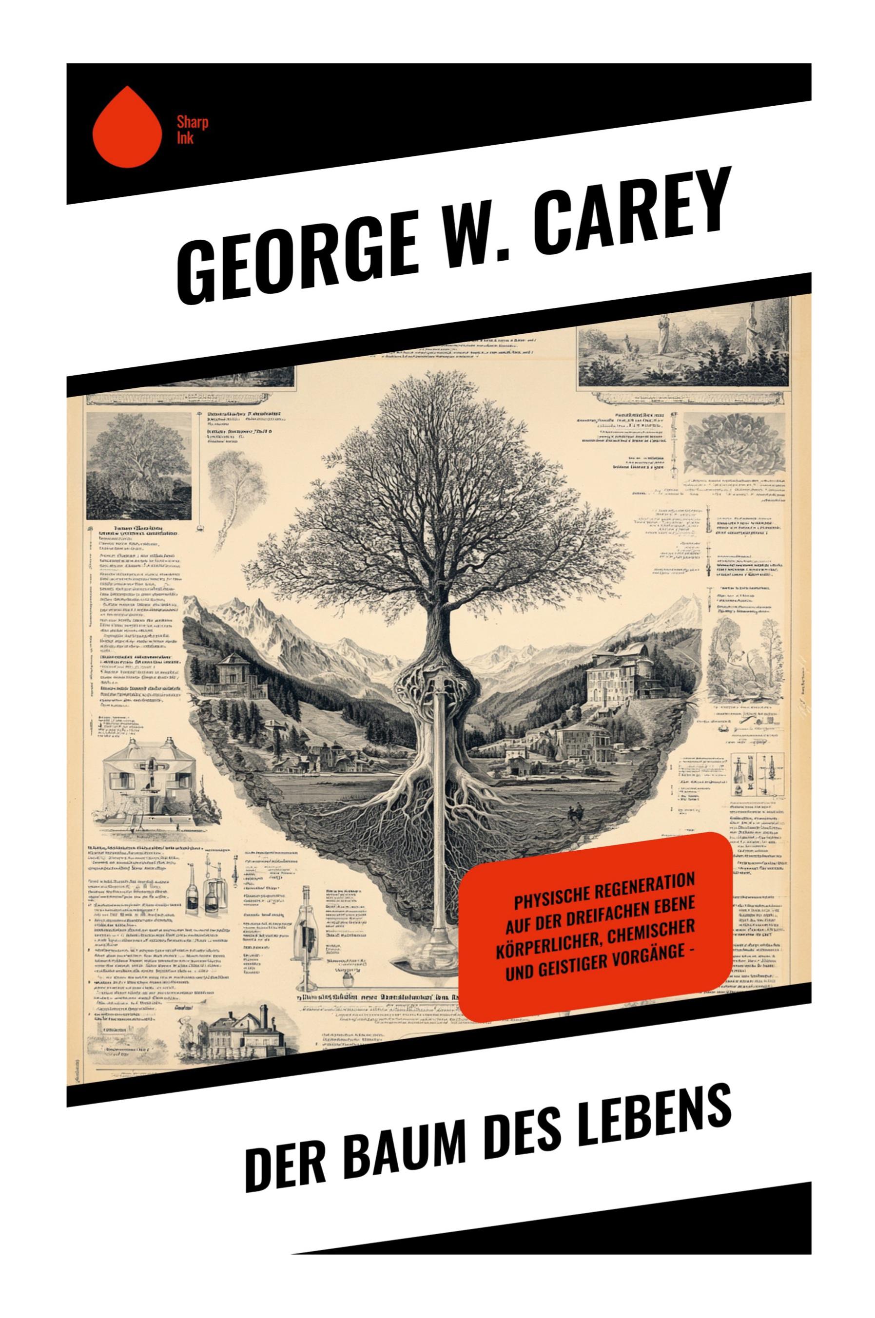 Vorderes Coverbild Der Baum des Lebens