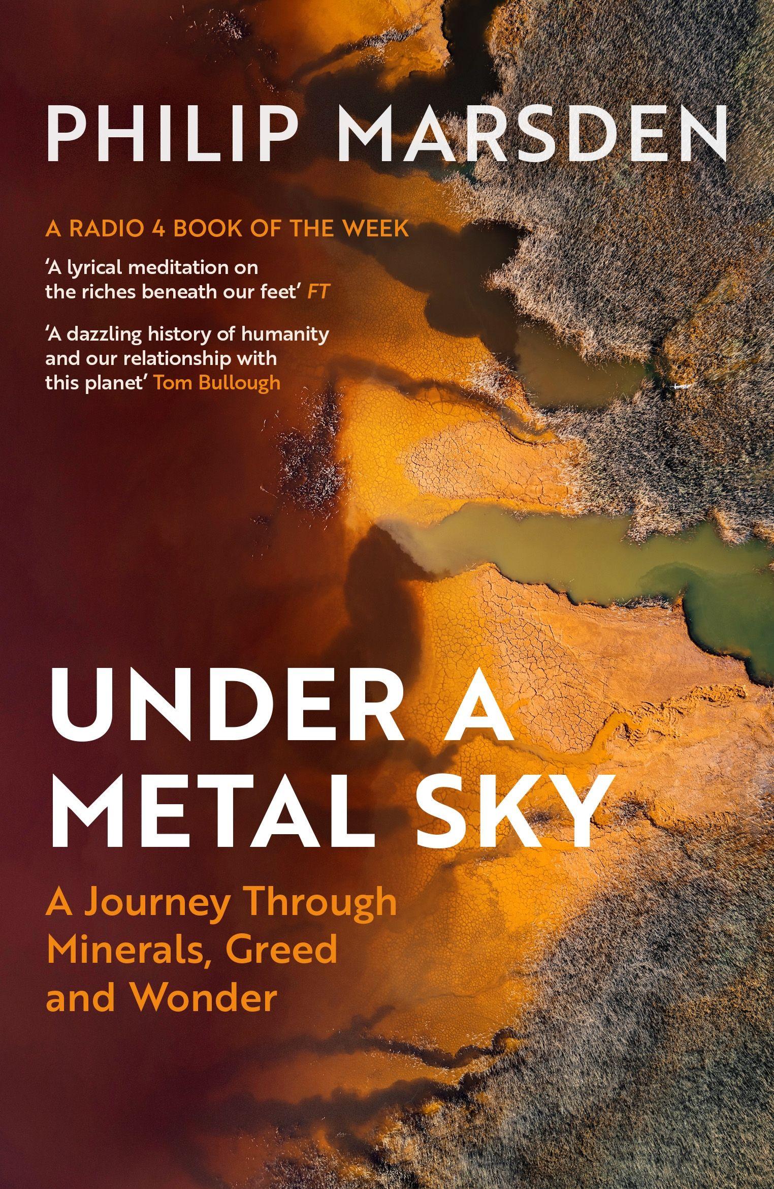 Vorderes Coverbild Under a Metal Sky