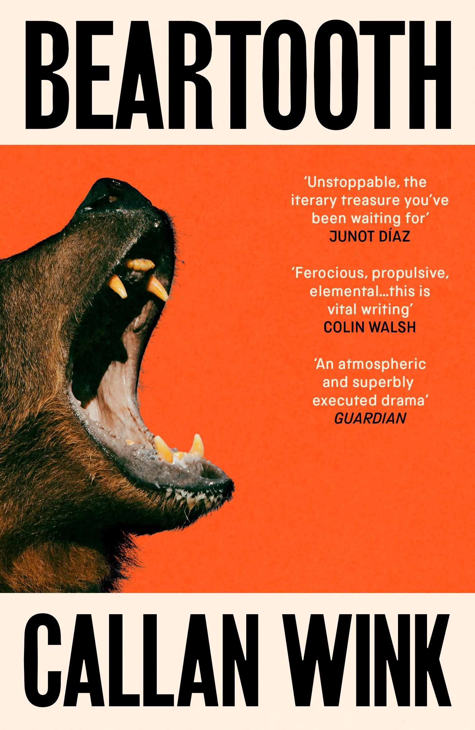 Vorderes Coverbild Beartooth
