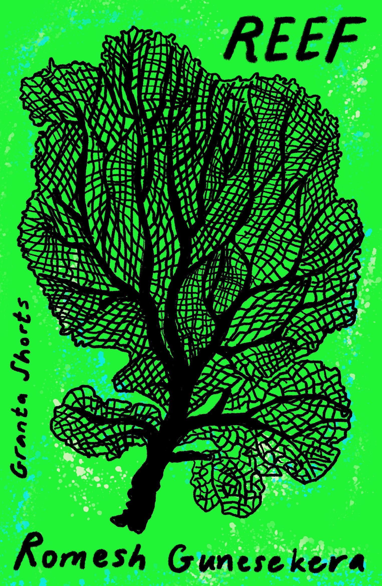 Vorderes Coverbild Reef