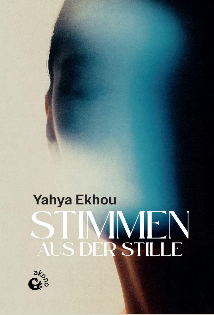 Vorderes Coverbild Stimmen aus der Stille