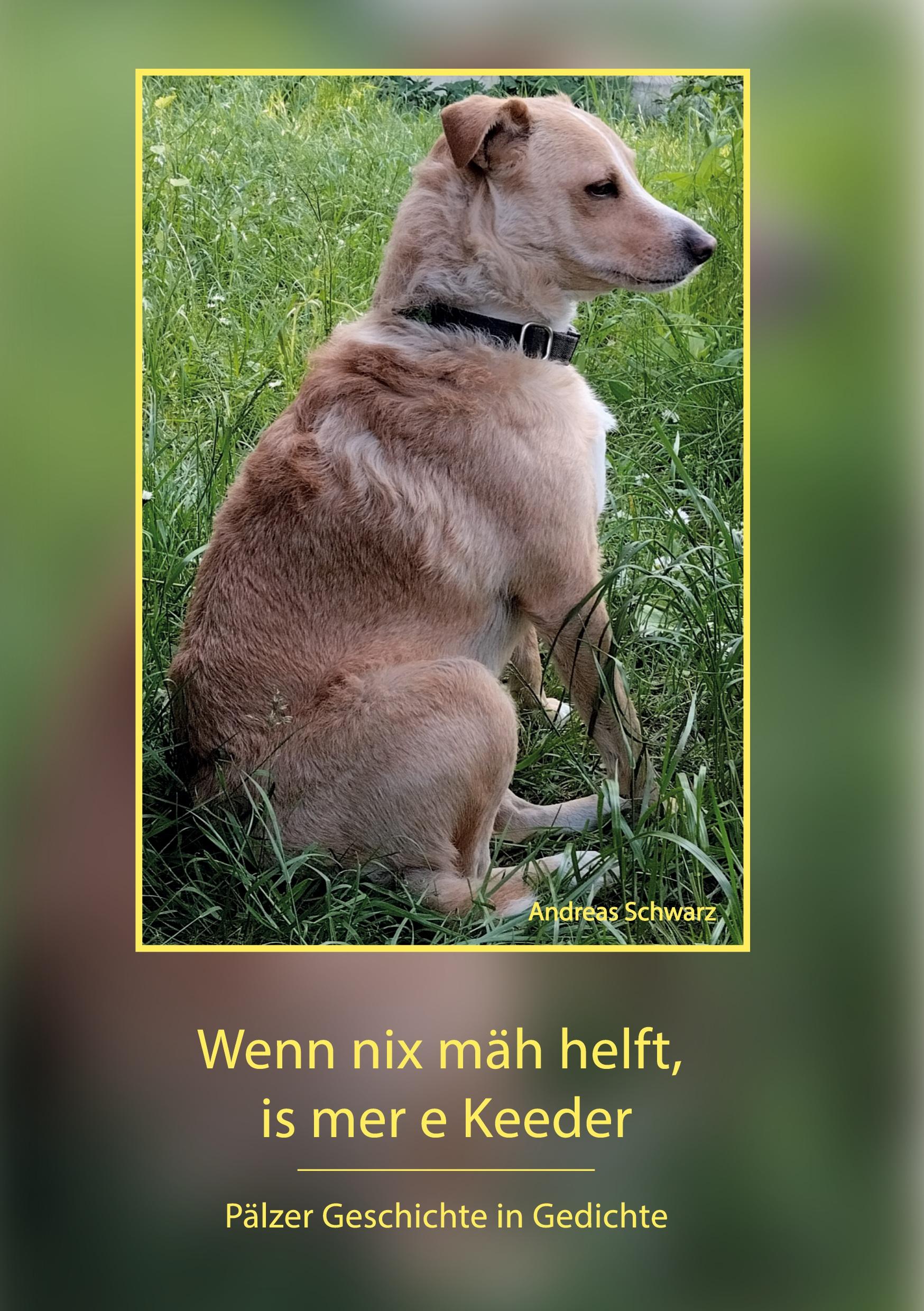 Vorderes Coverbild Wenn nix mäh helft, is mer e Keeder