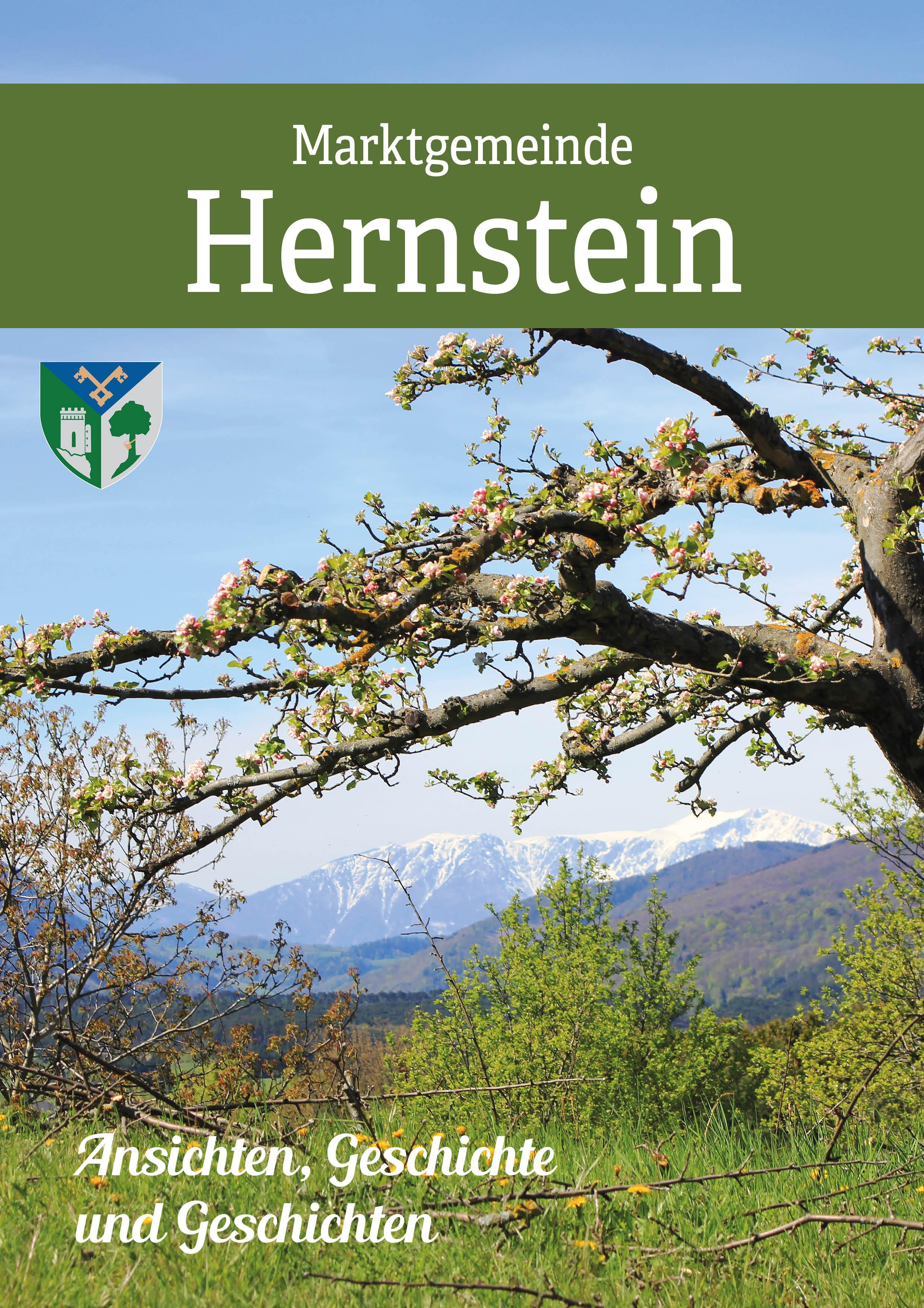 Vorderes Coverbild Gemeinde Hernstein in historischen Ansichten