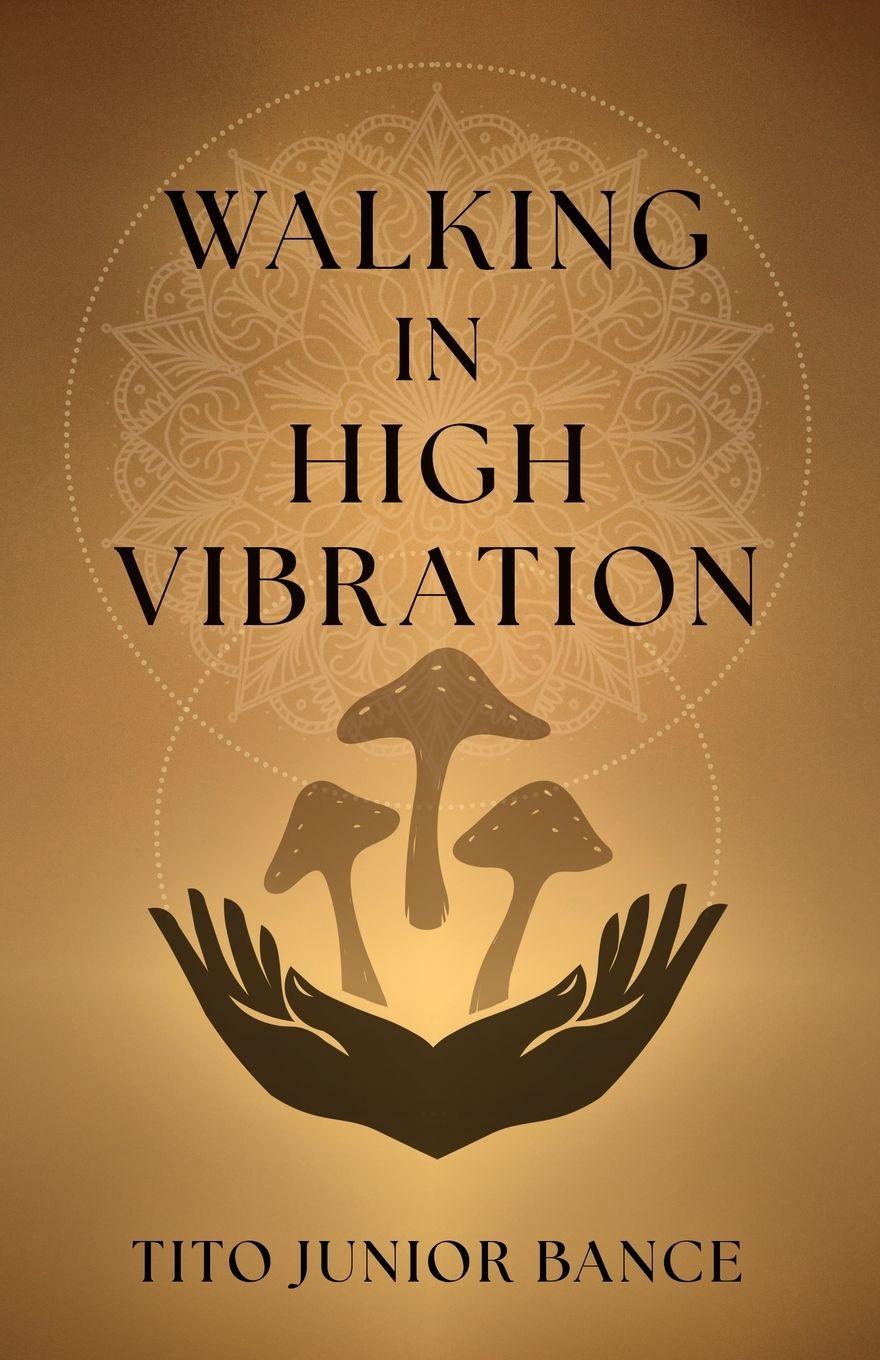 Vorderes Coverbild Walking in High Vibration