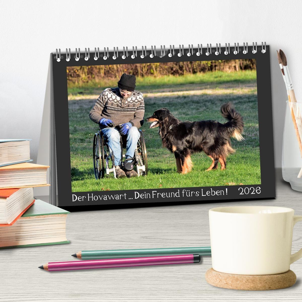 Beispielinhalt (Bild) Der Hovawart... Dein Freund fürs Leben ! (Tischkalender 2026 DIN A5 quer), CALVENDO Monatskalender