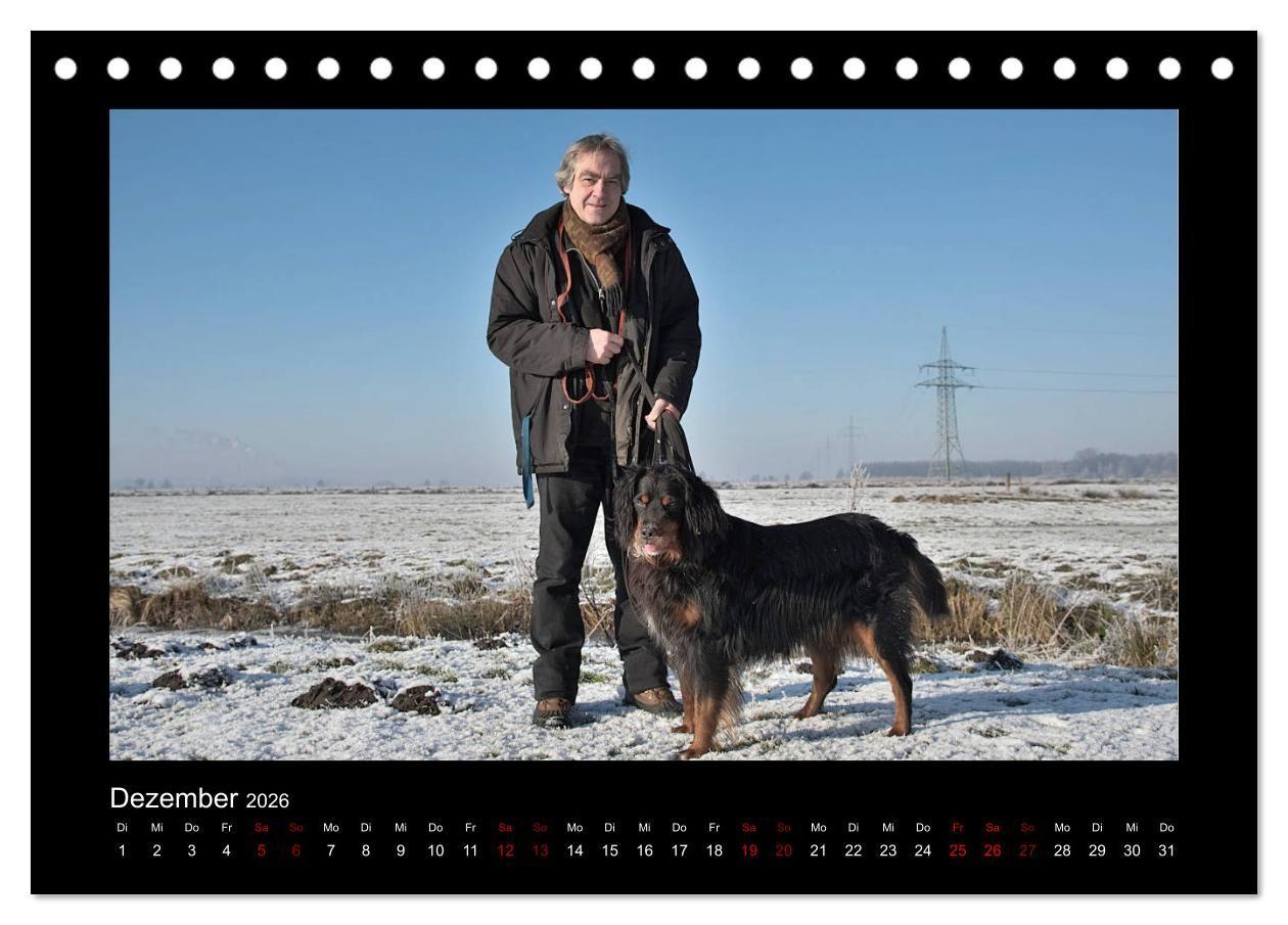 Beispielinhalt (Bild) Der Hovawart... Dein Freund fürs Leben ! (Tischkalender 2026 DIN A5 quer), CALVENDO Monatskalender
