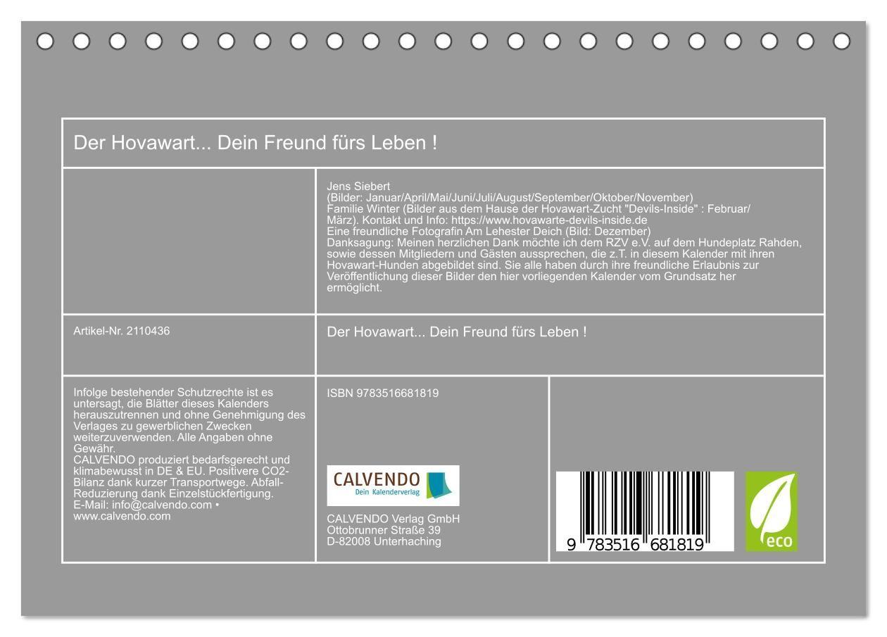 Beispielinhalt (Bild) Der Hovawart... Dein Freund fürs Leben ! (Tischkalender 2026 DIN A5 quer), CALVENDO Monatskalender