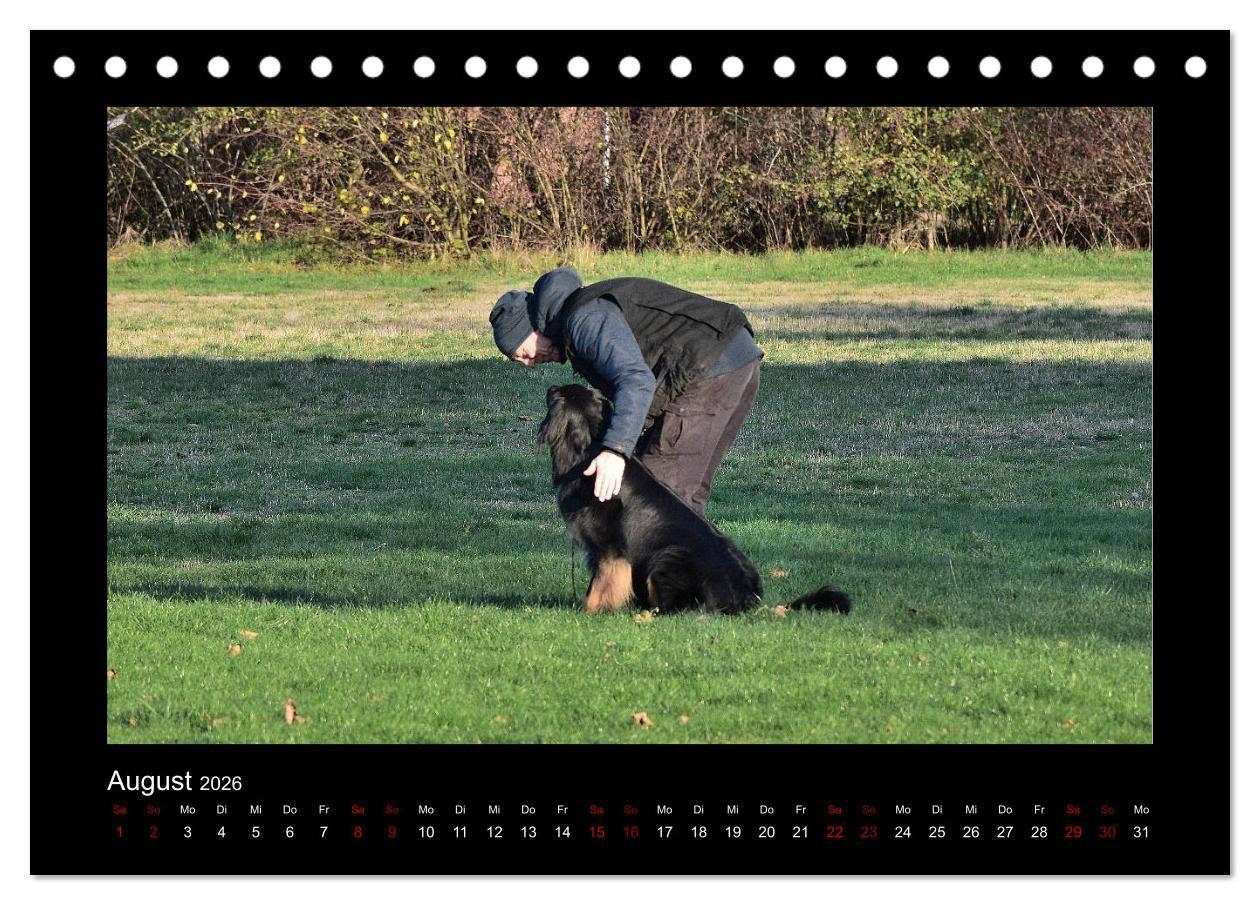Beispielinhalt (Bild) Der Hovawart... Dein Freund fürs Leben ! (Tischkalender 2026 DIN A5 quer), CALVENDO Monatskalender