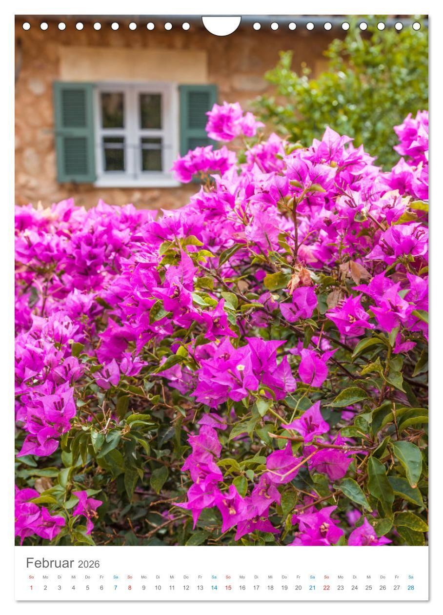 Beispielinhalt (Bild) Lass uns träumen vom Süden (Wandkalender 2026 DIN A4 hoch), CALVENDO Monatskalender