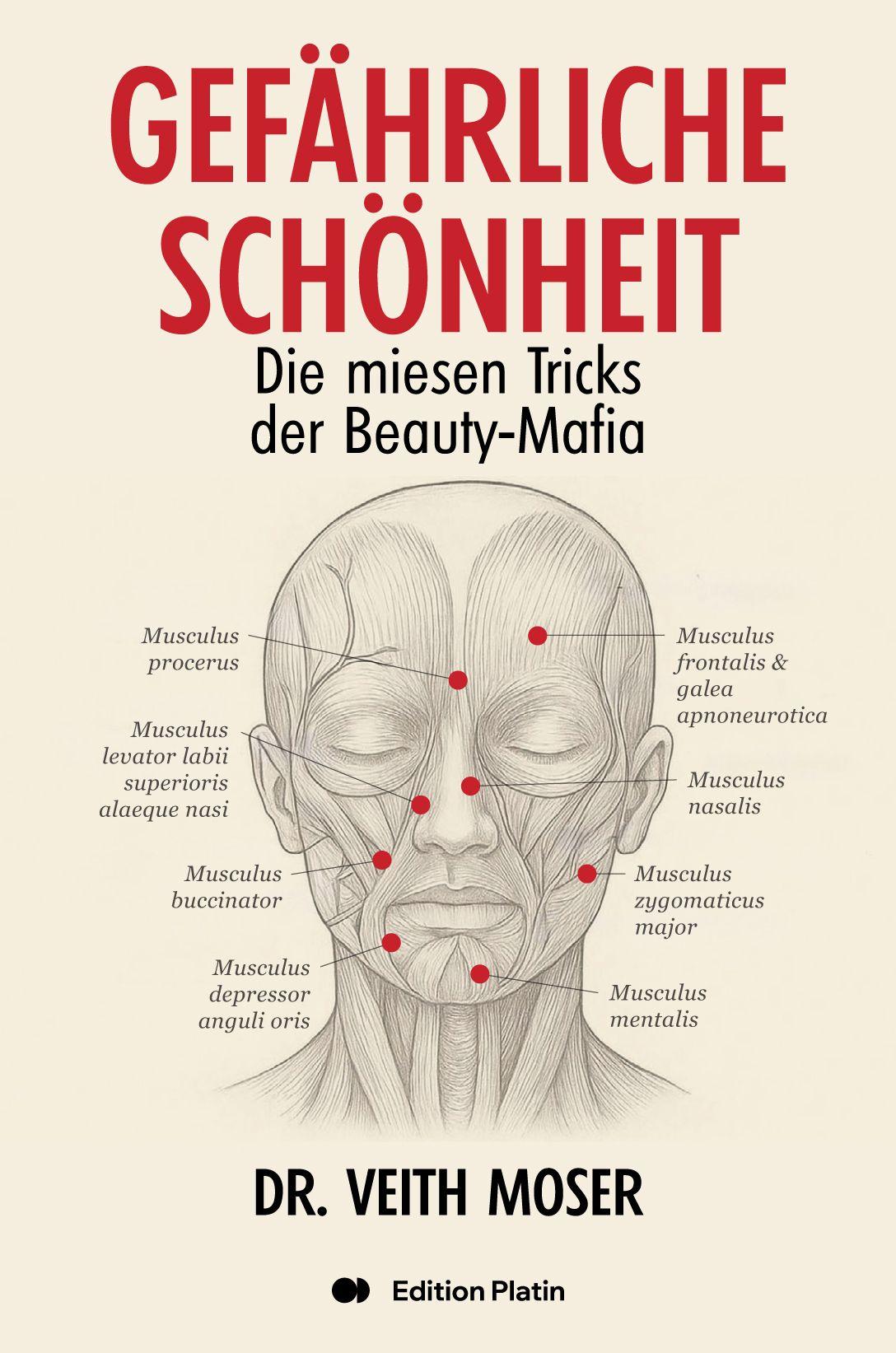 Vorderes Coverbild Gefährliche Schönheit
