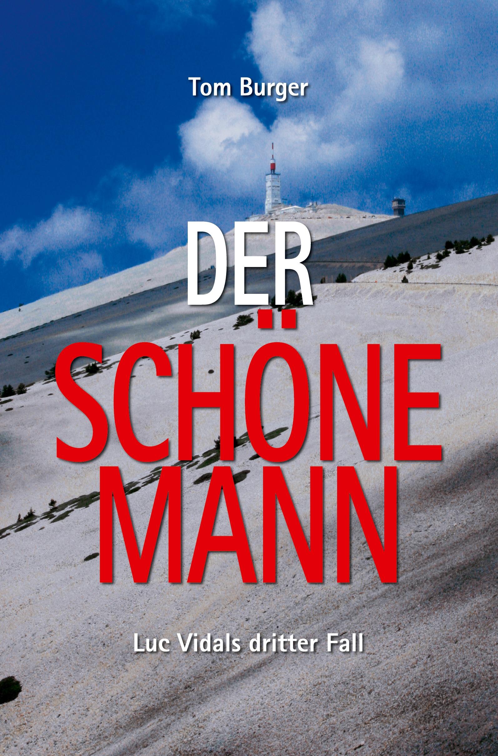Vorderes Coverbild Der Schöne Mann