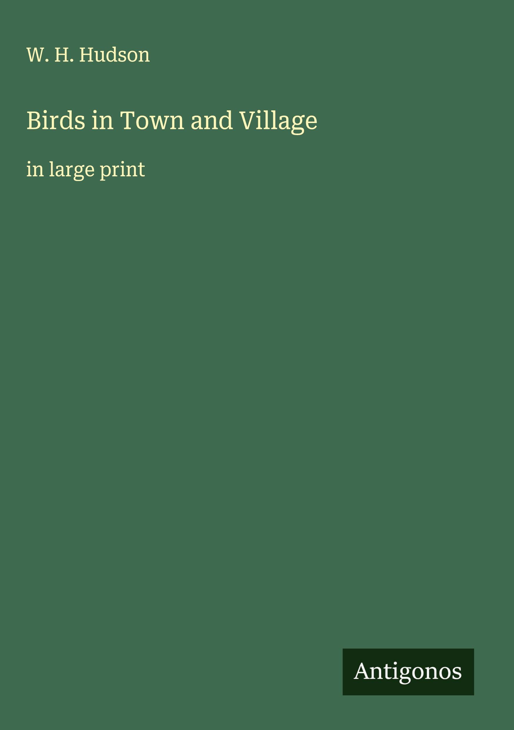 Vorderes Coverbild Birds in Town and Village