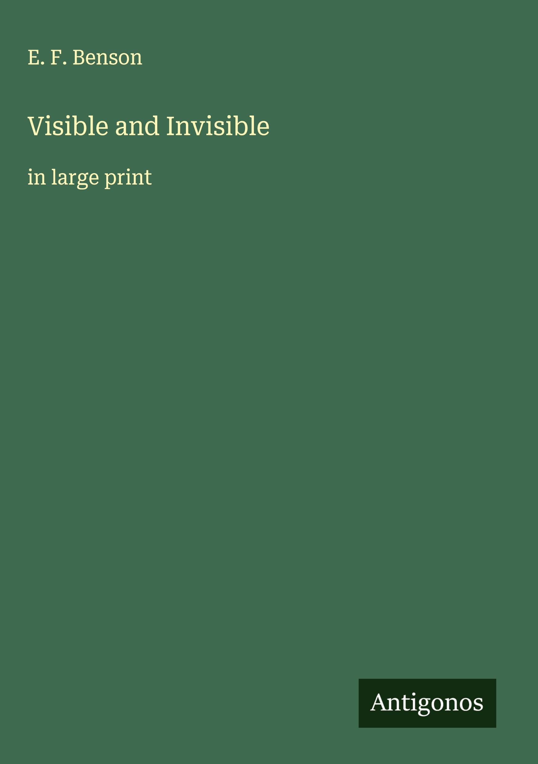 Vorderes Coverbild Visible and Invisible