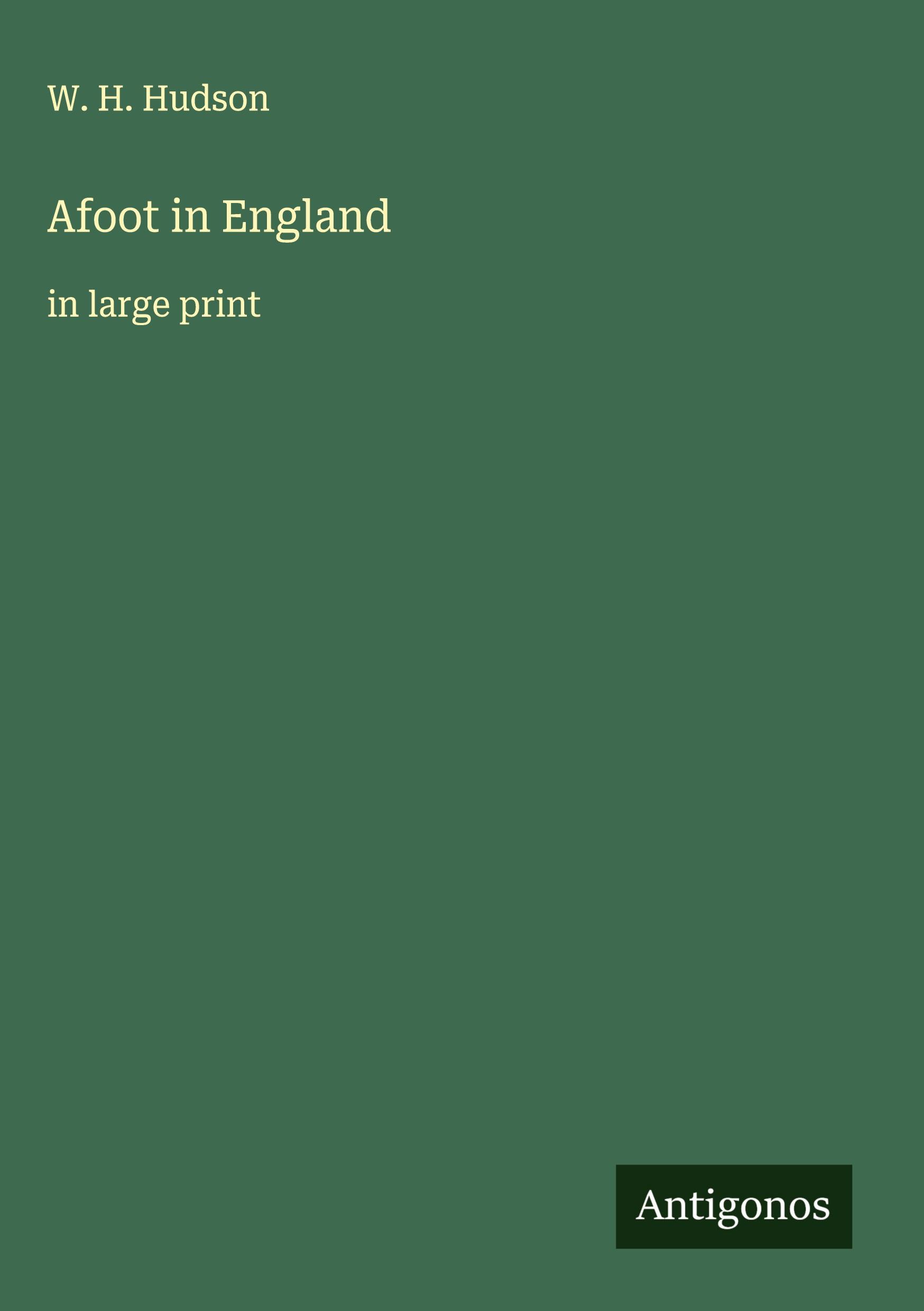 Vorderes Coverbild Afoot in England