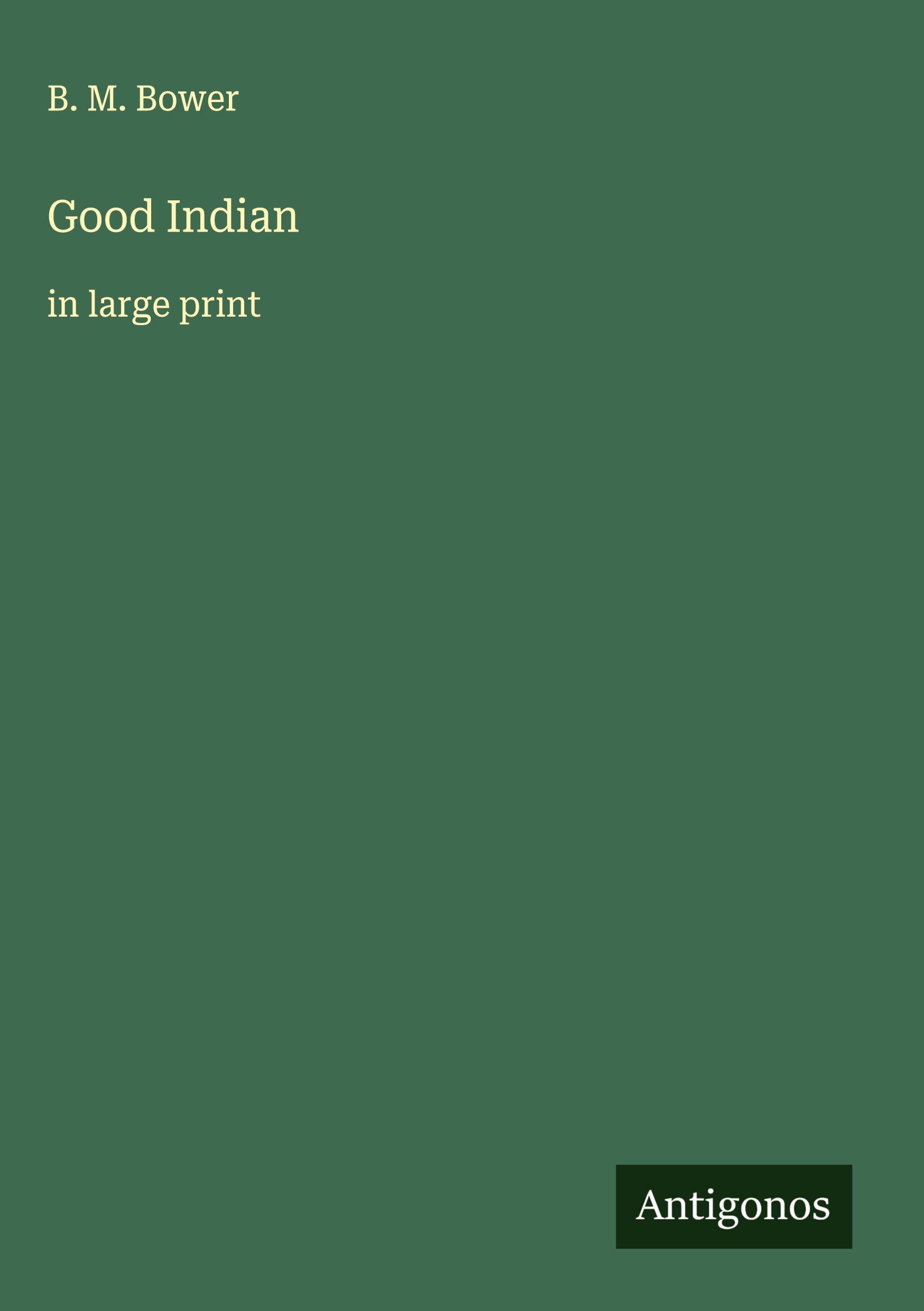 Vorderes Coverbild Good Indian