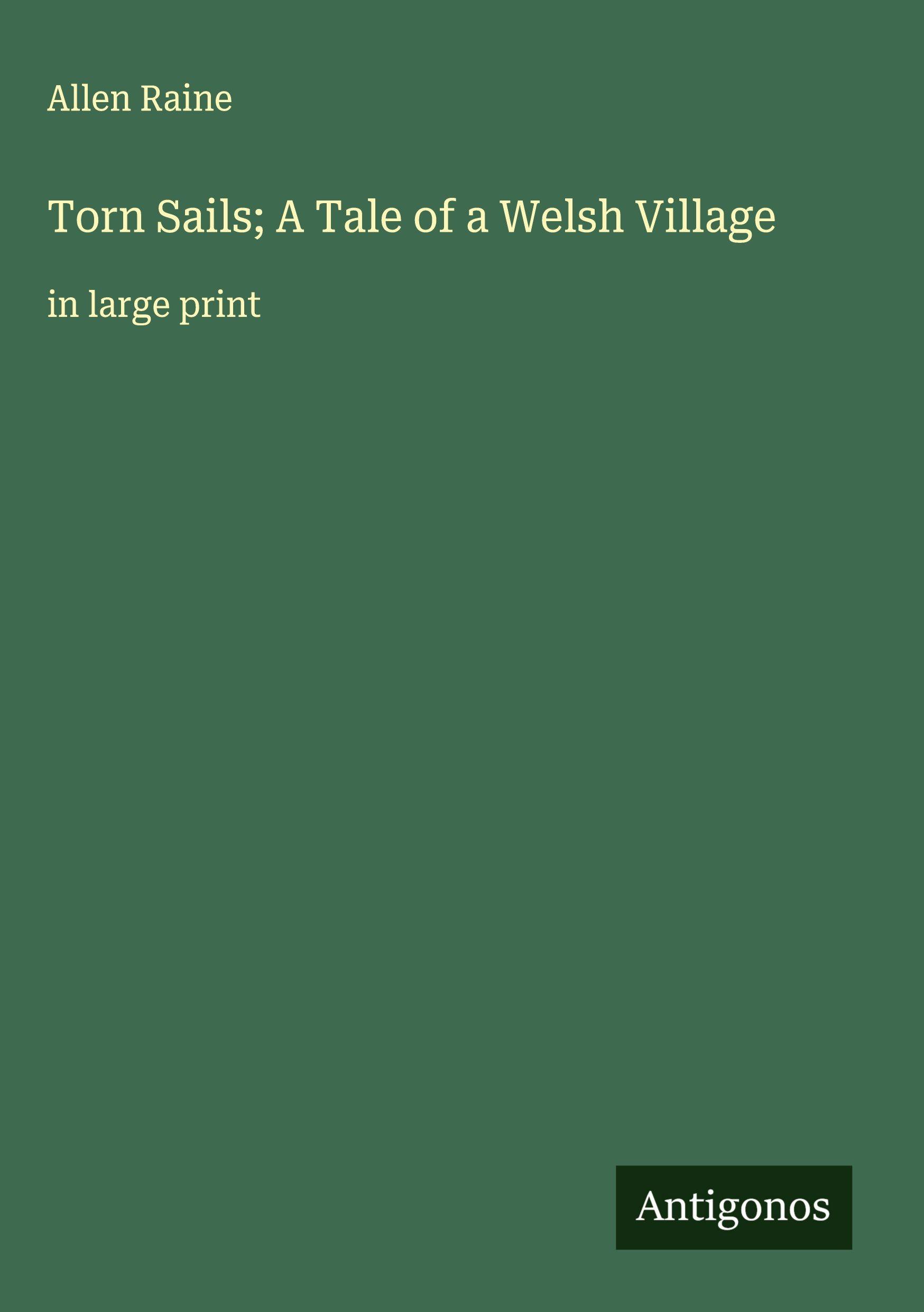 Vorderes Coverbild Torn Sails; A Tale of a Welsh Village
