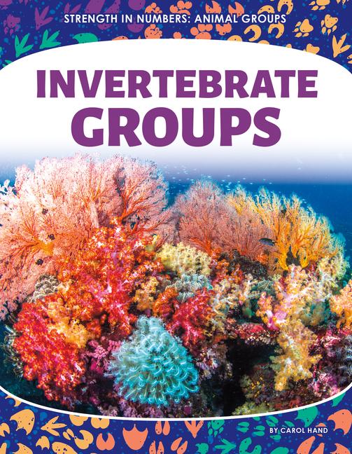 Vorderes Coverbild Invertebrate Groups
