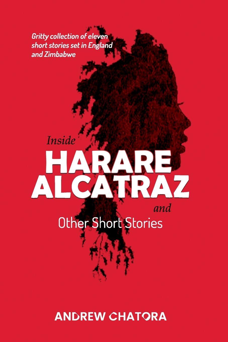 Vorderes Coverbild Inside Harare Alcatraz and Other Short Stories