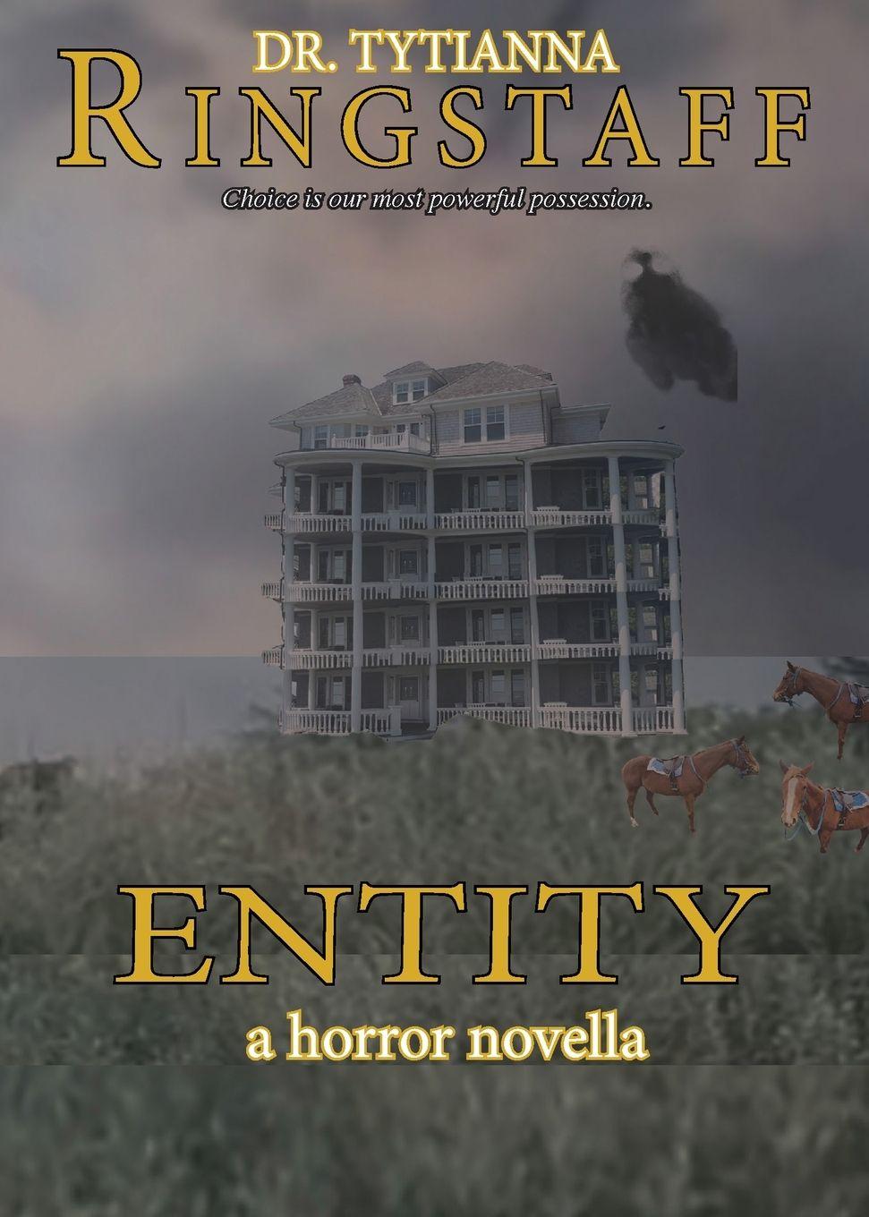 Vorderes Coverbild Entity