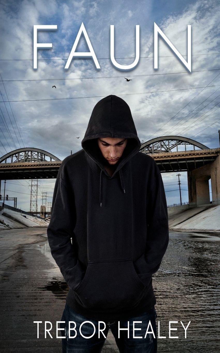 Vorderes Coverbild Faun