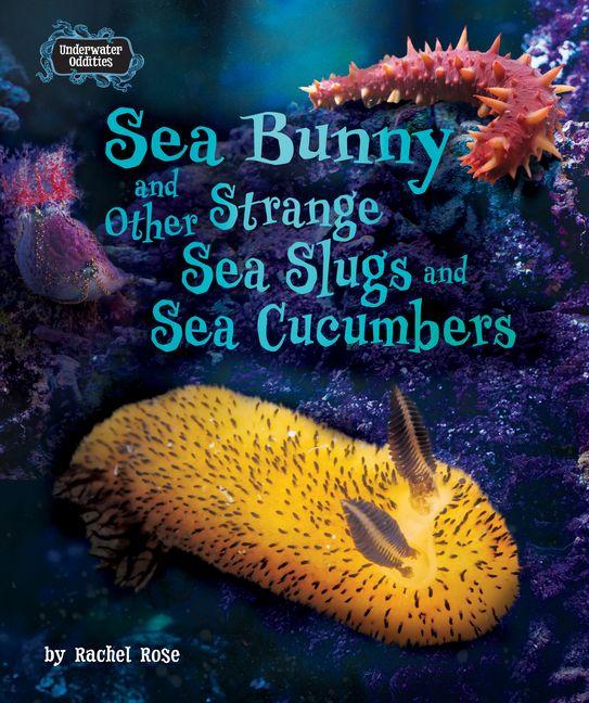 Vorderes Coverbild Sea Bunny and Other Strange Sea Slugs and Sea Cucumbers