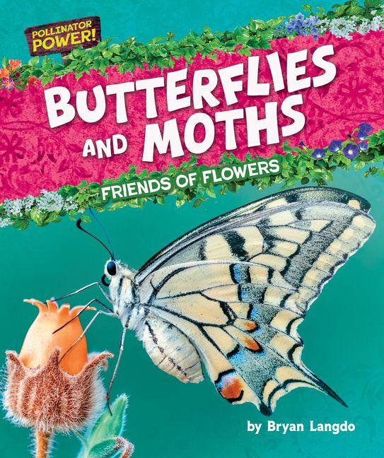 Vorderes Coverbild Butterflies and Moths