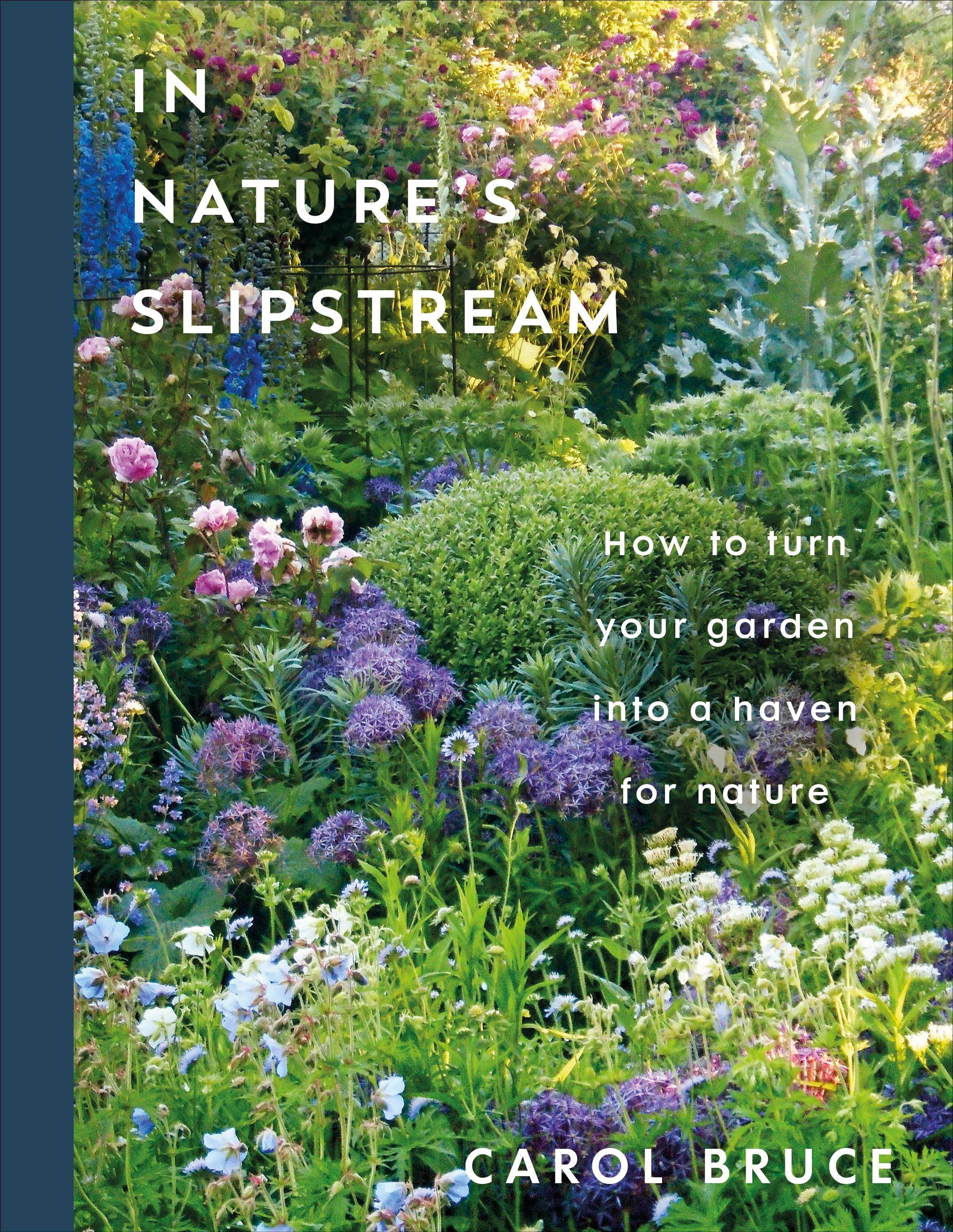 Vorderes Coverbild In Nature's Slipstream