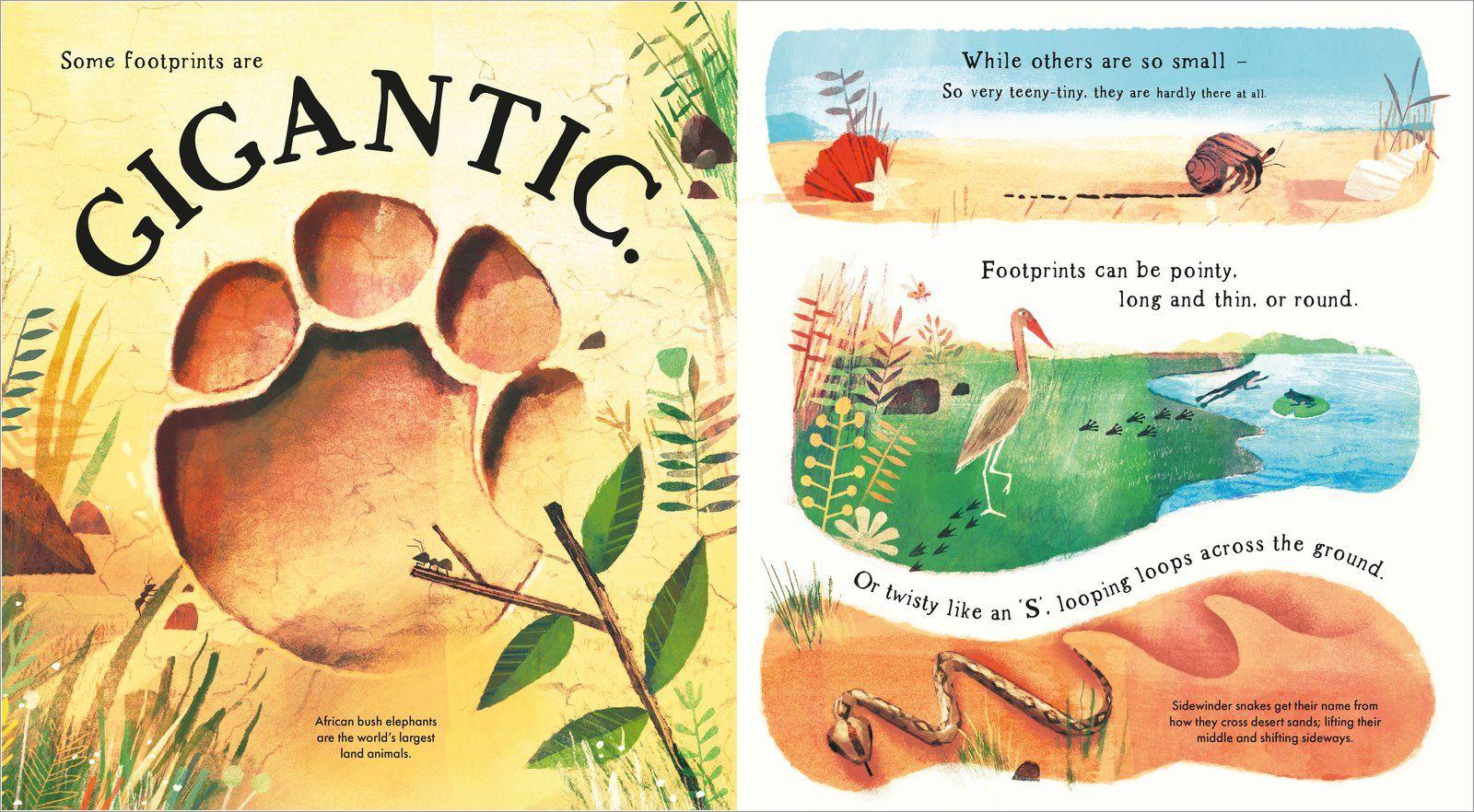 Beispielinhalt (Bild) Wild Footprints