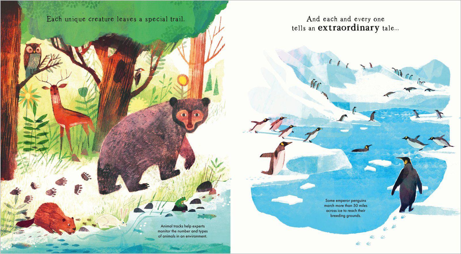 Beispielinhalt (Bild) Wild Footprints