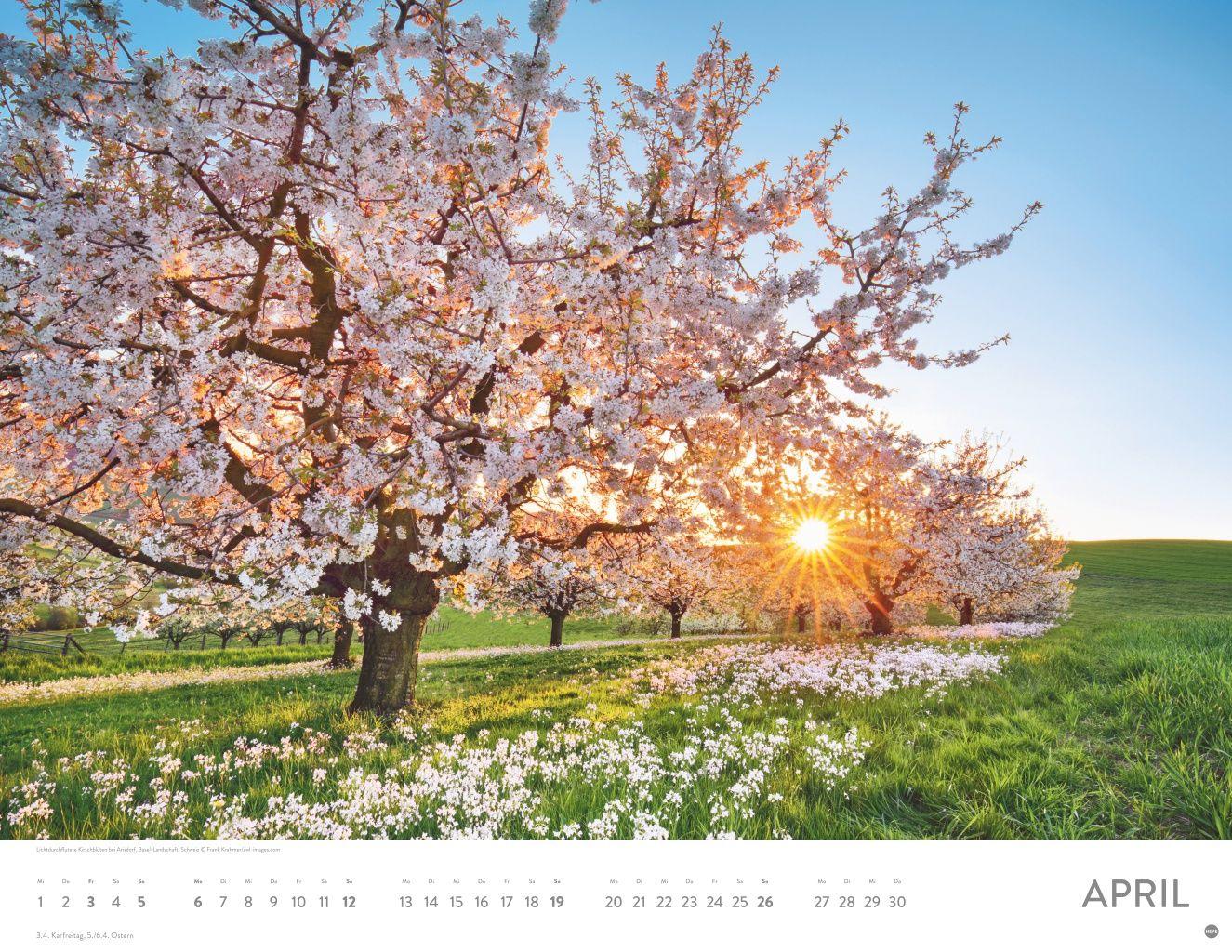 Beispielinhalt (Bild) Sonnenzauber Posterkalender 2026