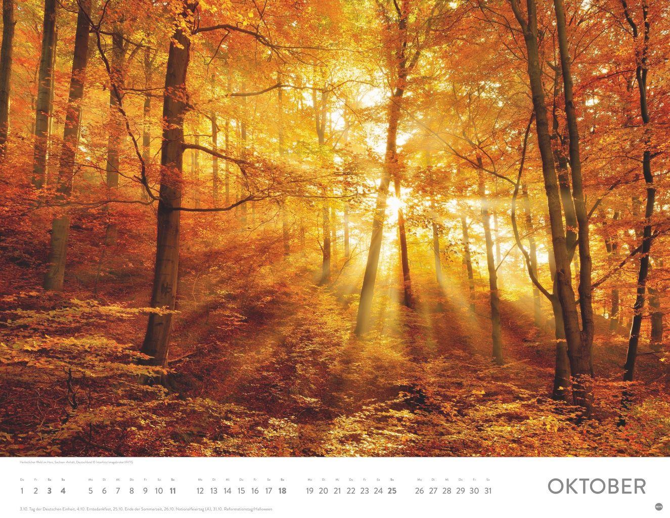 Beispielinhalt (Bild) Sonnenzauber Posterkalender 2026