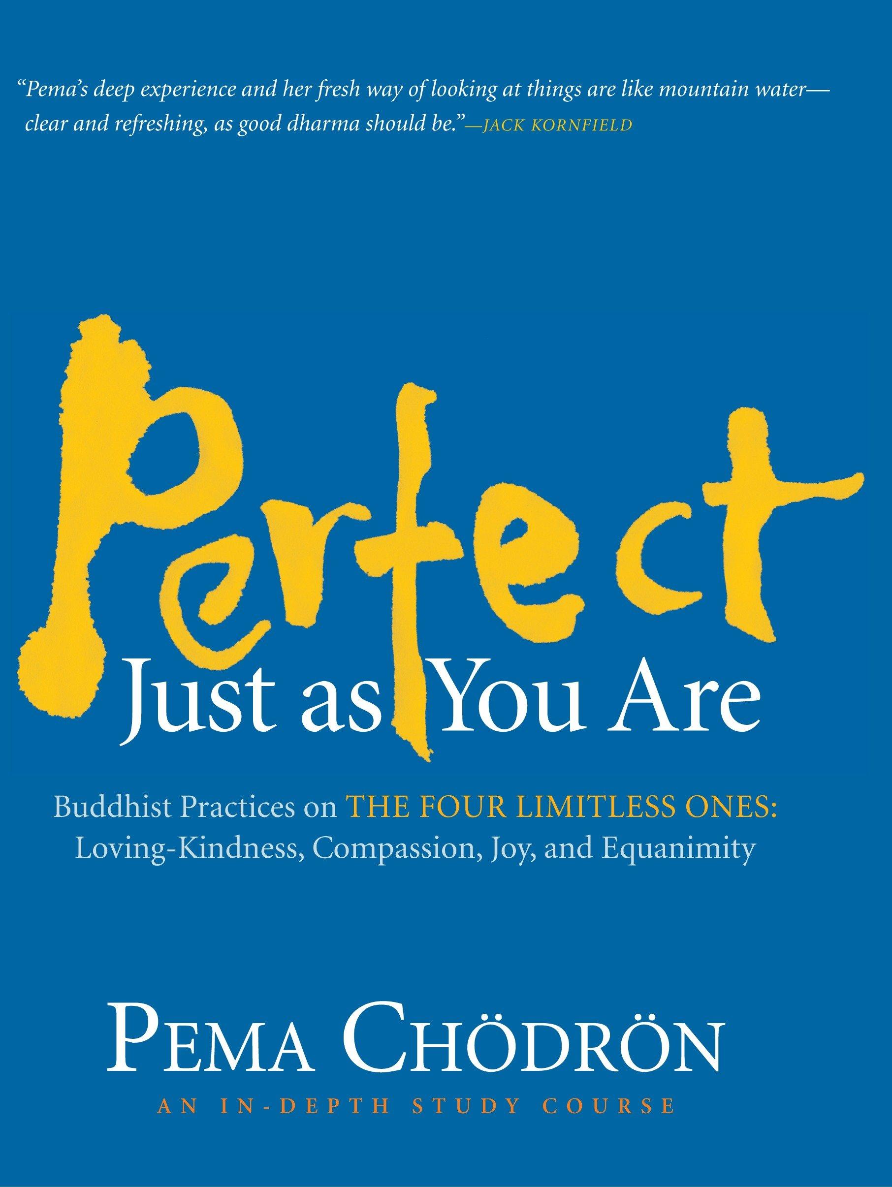 Vorderes Coverbild Perfect Just as You Are: Buddhist Practices on the Four Limitless Ones: Loving-Kindness, Compassion, Joy, and Equanimity