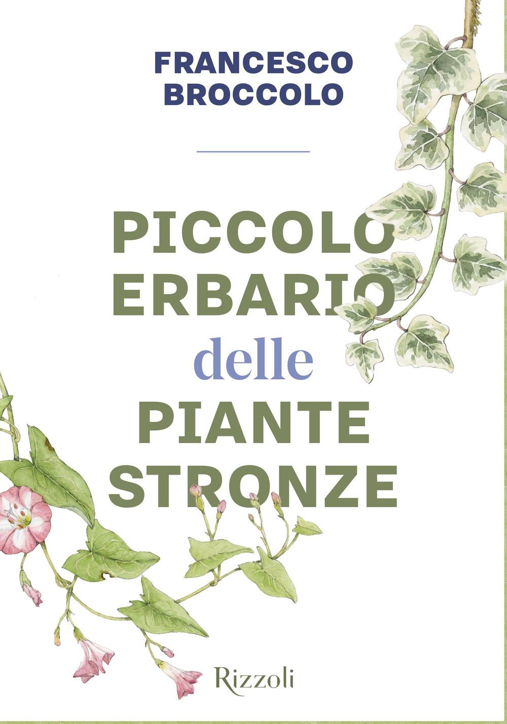 Vorderes Coverbild Piccolo erbario delle piante stronze
