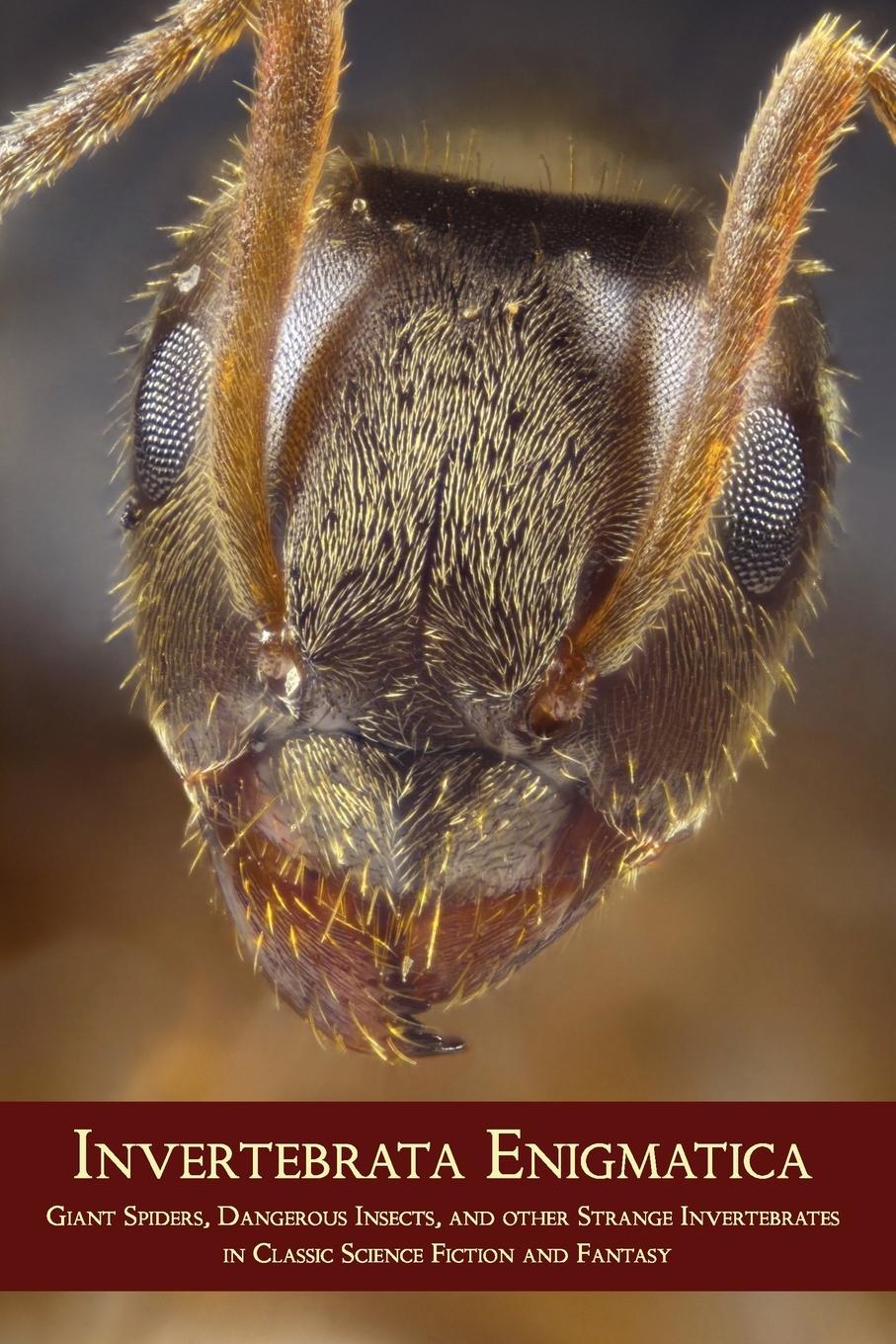 Vorderes Coverbild Invertebrata Enigmatica