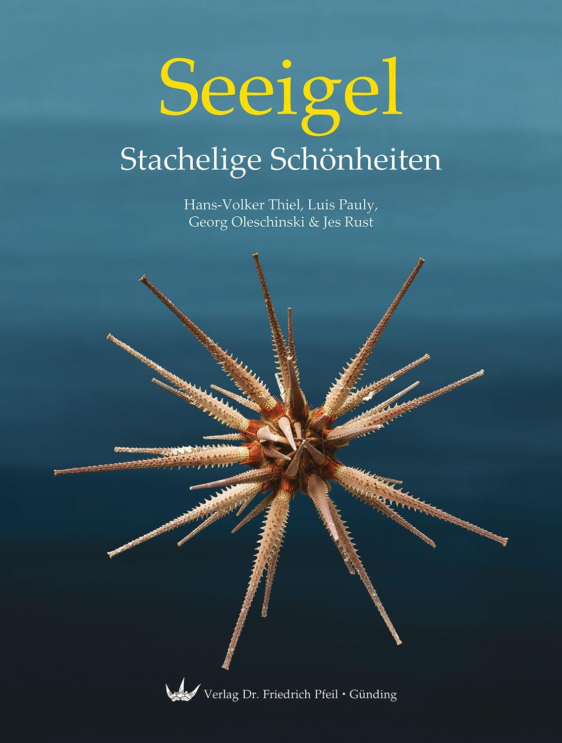 Vorderes Coverbild Seeigel - Stachelige Schönheiten