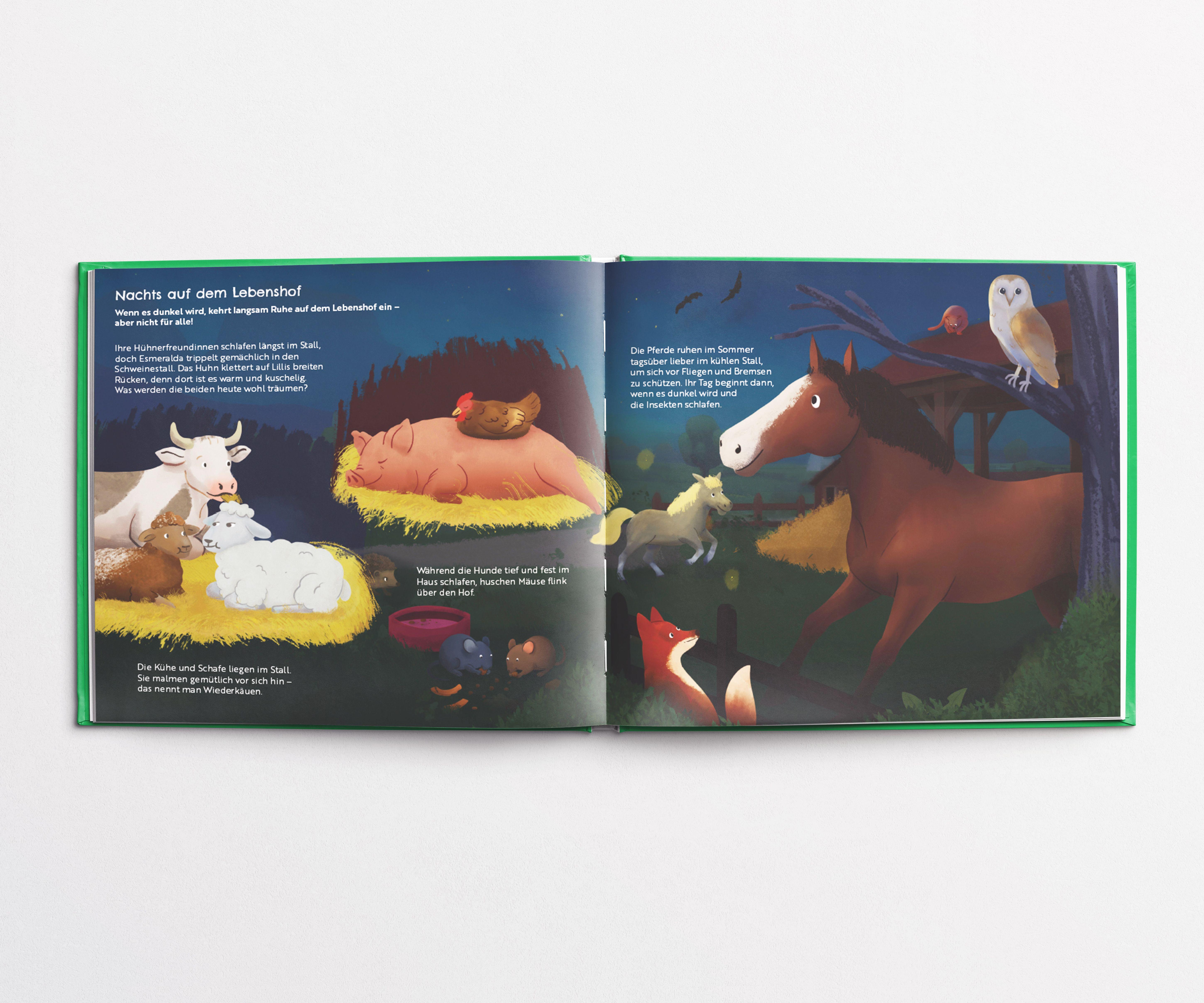 Beispielinhalt (Bild) Auf dem Lebenshof