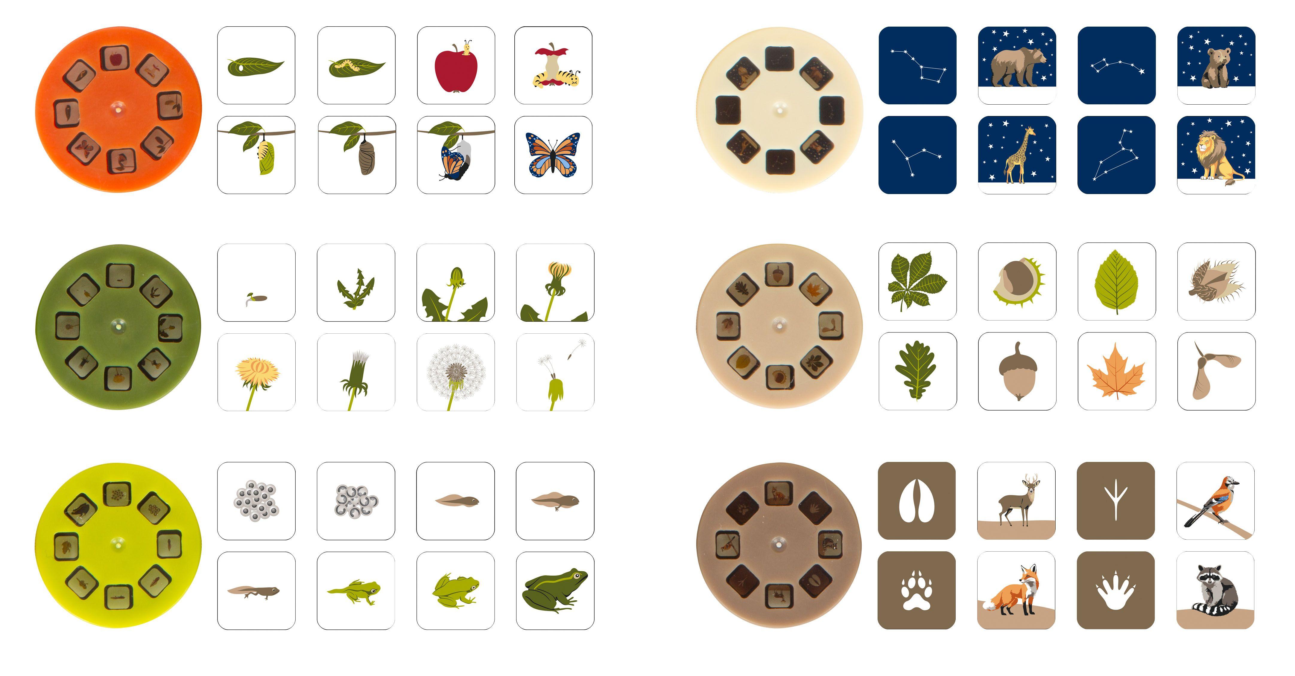 Beispielinhalt (Bild) Taschenlampe und Projektor "Discover"