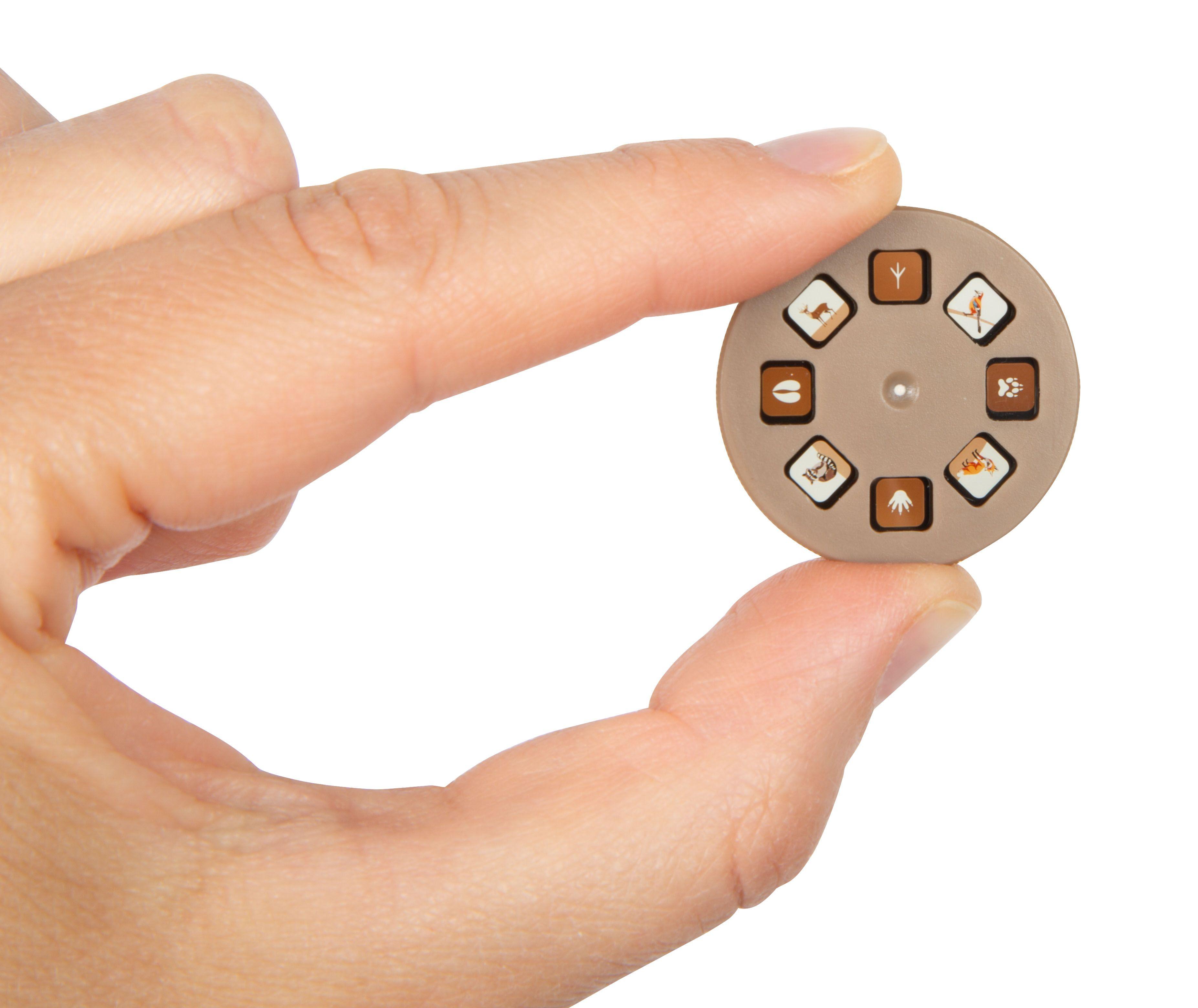 Beispielinhalt (Bild) Taschenlampe und Projektor "Discover"