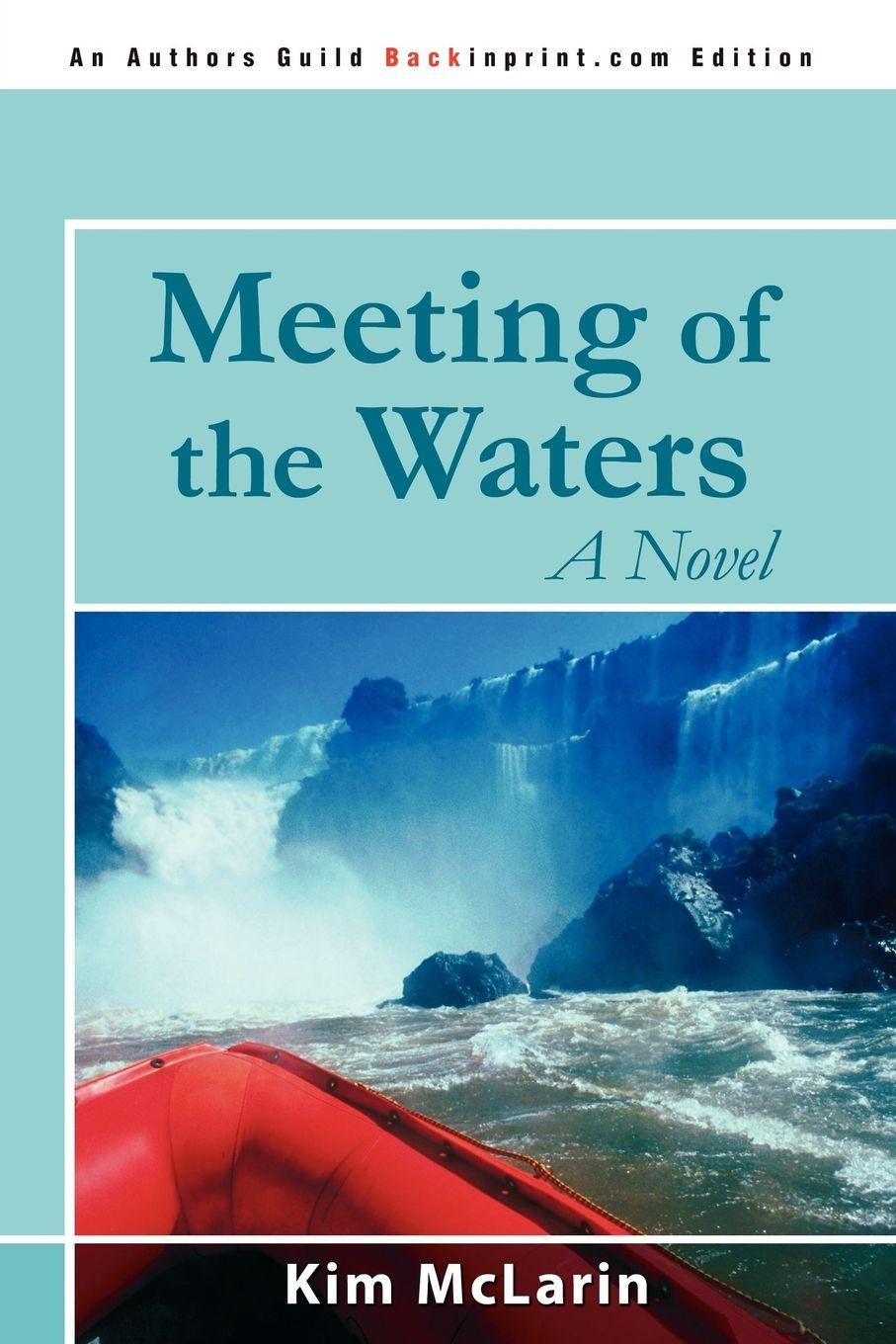 Vorderes Coverbild Meeting of the Waters