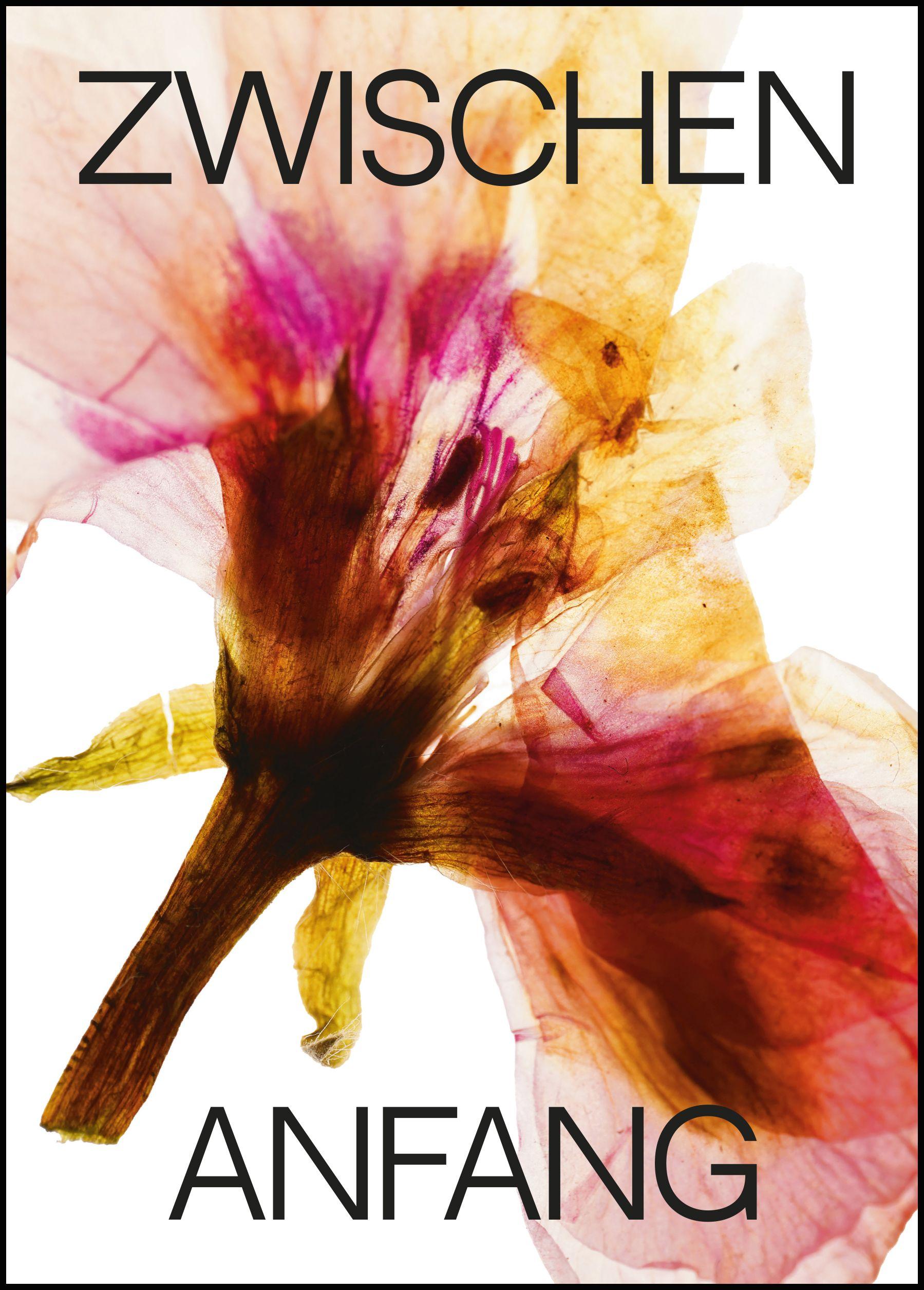 Vorderes Coverbild Zwischen Anfang und Ende