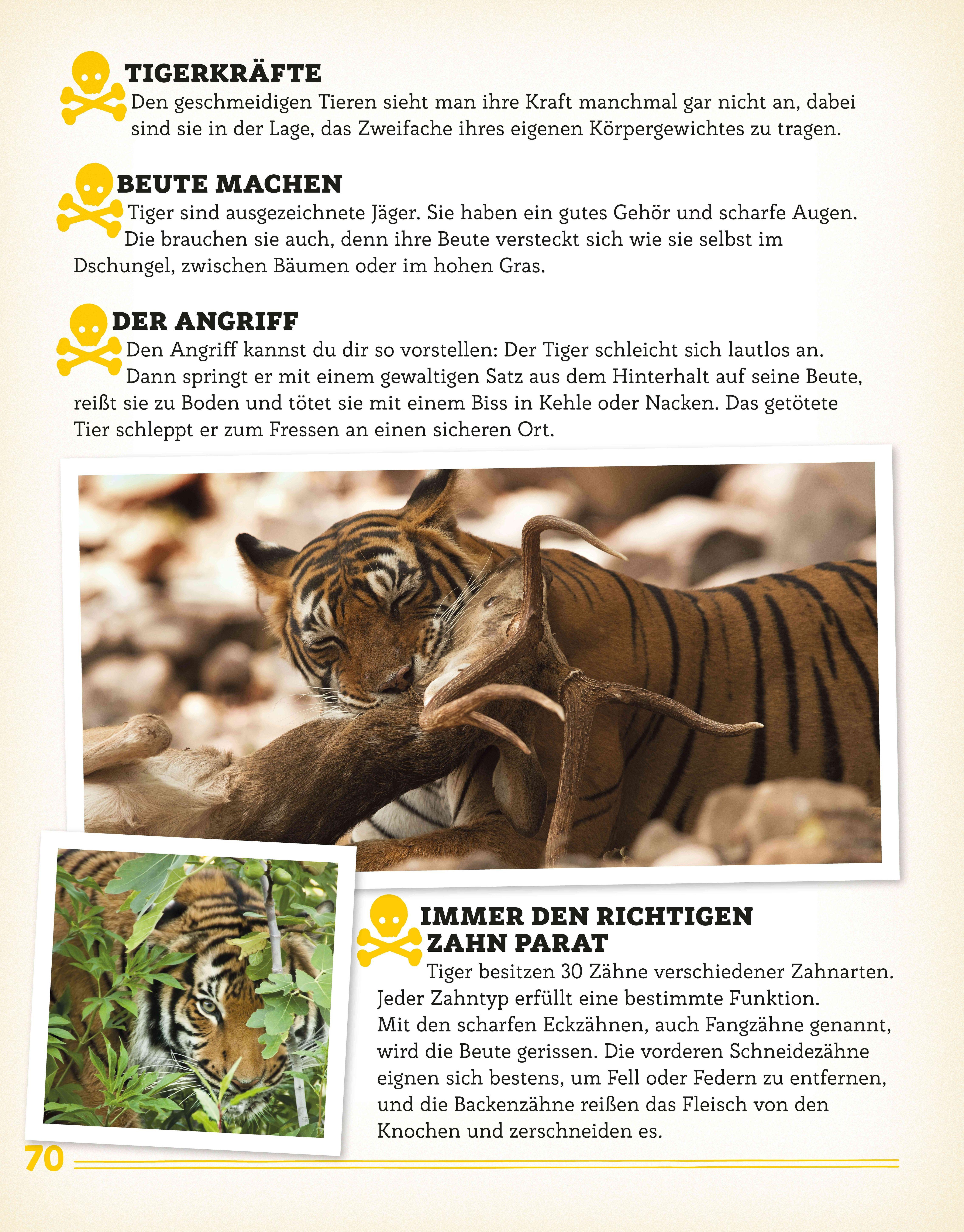 Beispielinhalt (Bild) Bissig, giftig, tödlich!