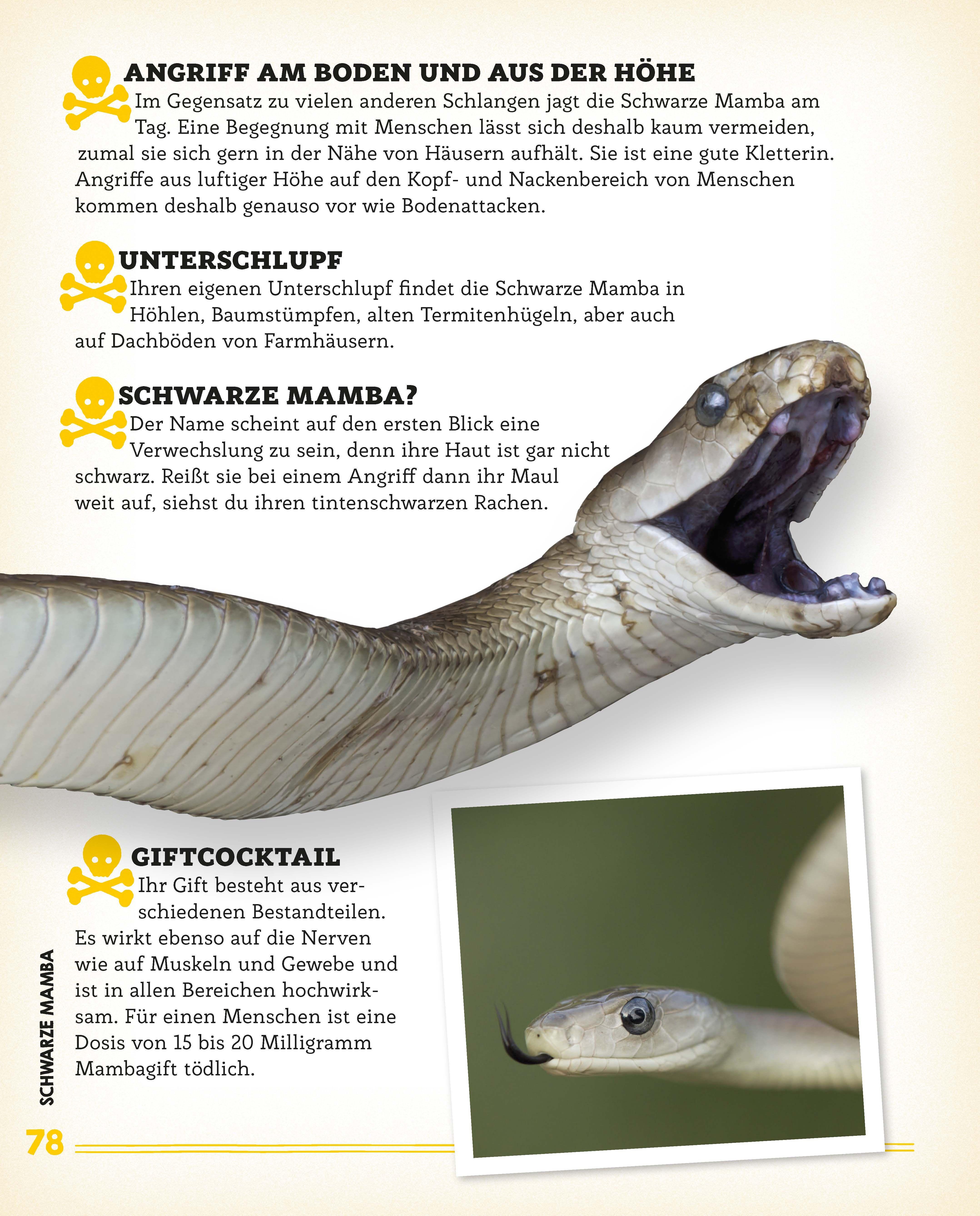 Beispielinhalt (Bild) Bissig, giftig, tödlich!