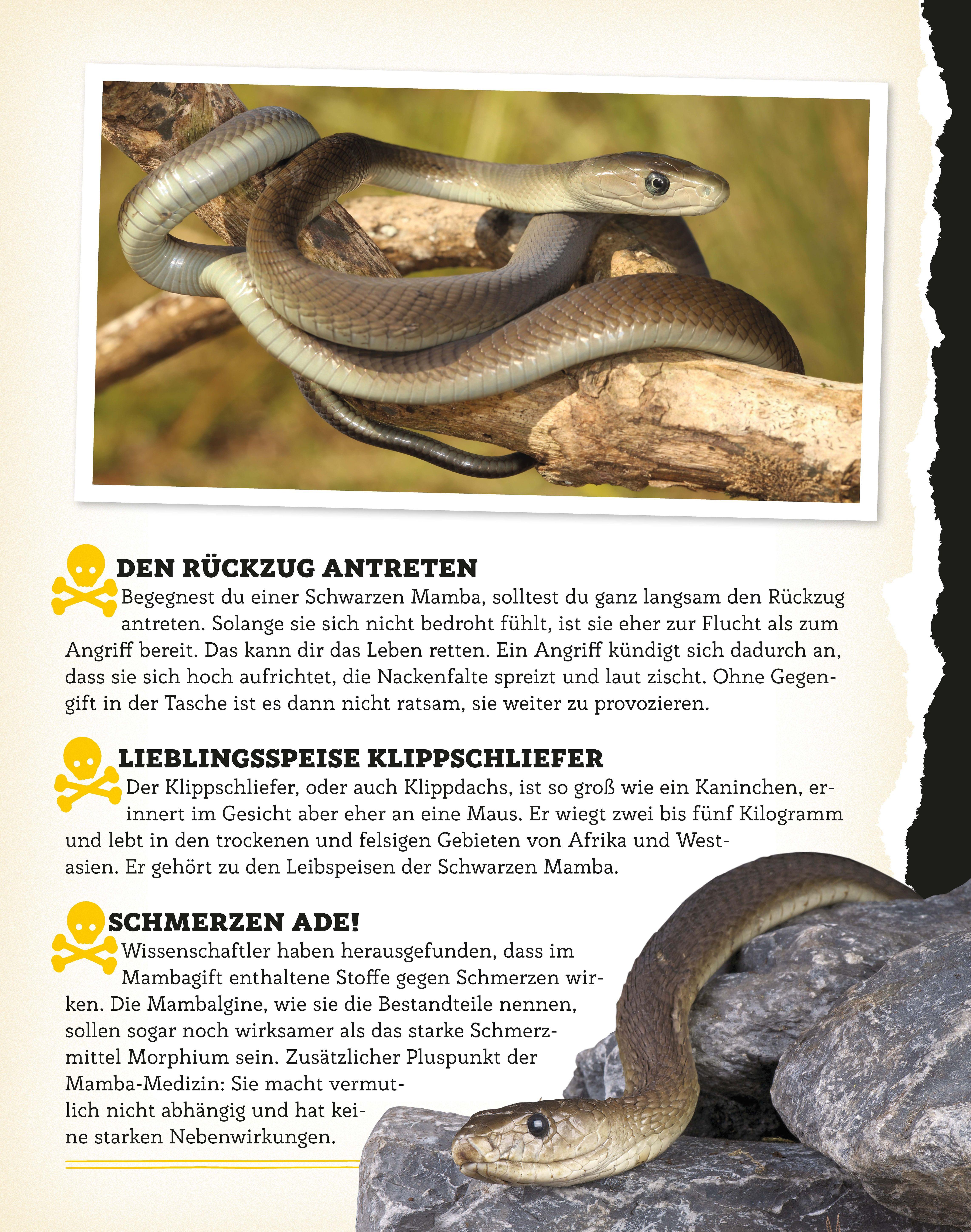 Beispielinhalt (Bild) Bissig, giftig, tödlich!