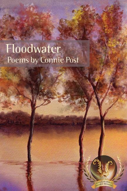 Vorderes Coverbild Floodwater