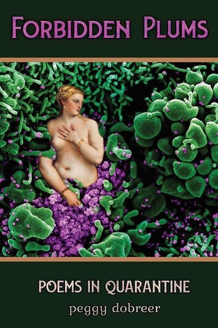 Vorderes Coverbild Forbidden Plums